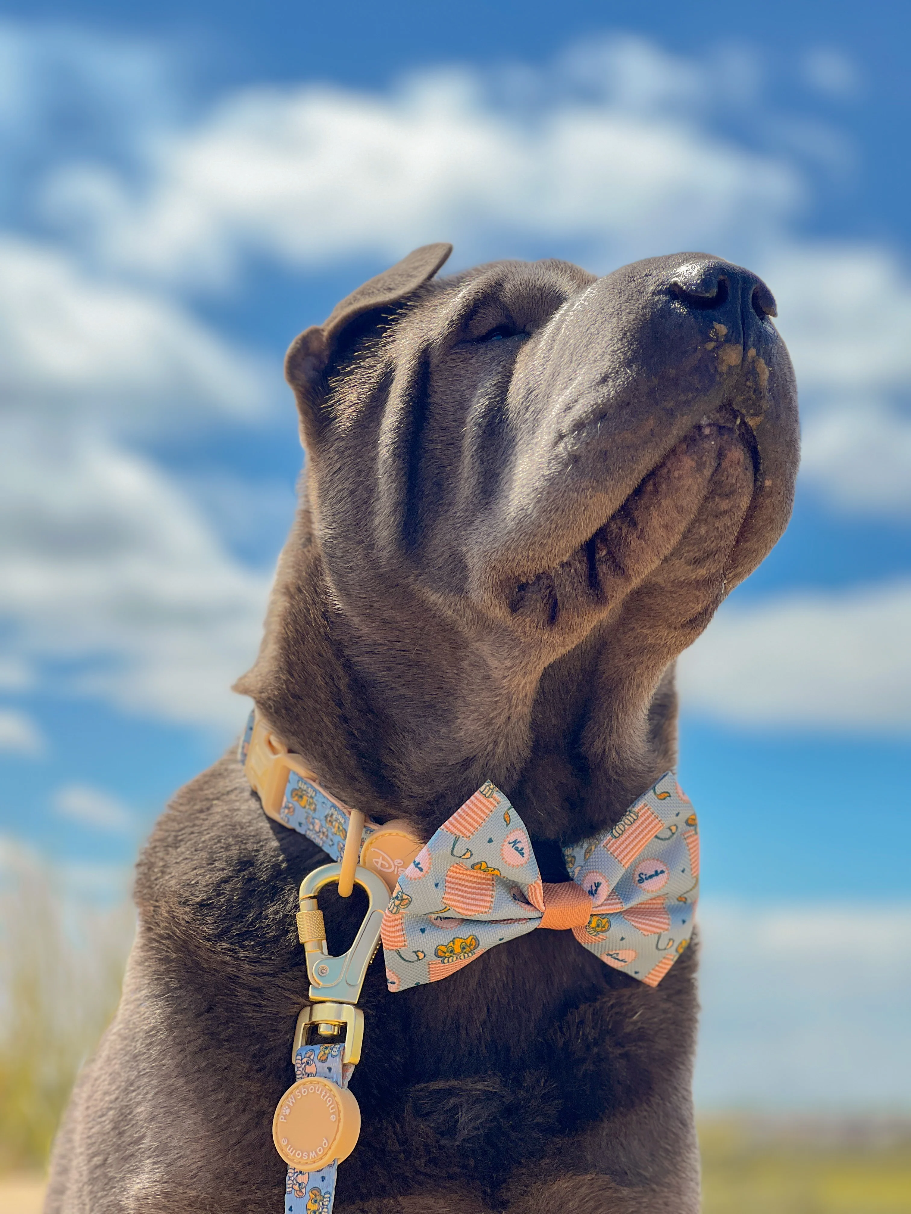 Disney© Bow Tie - Lion Friends - Image 7