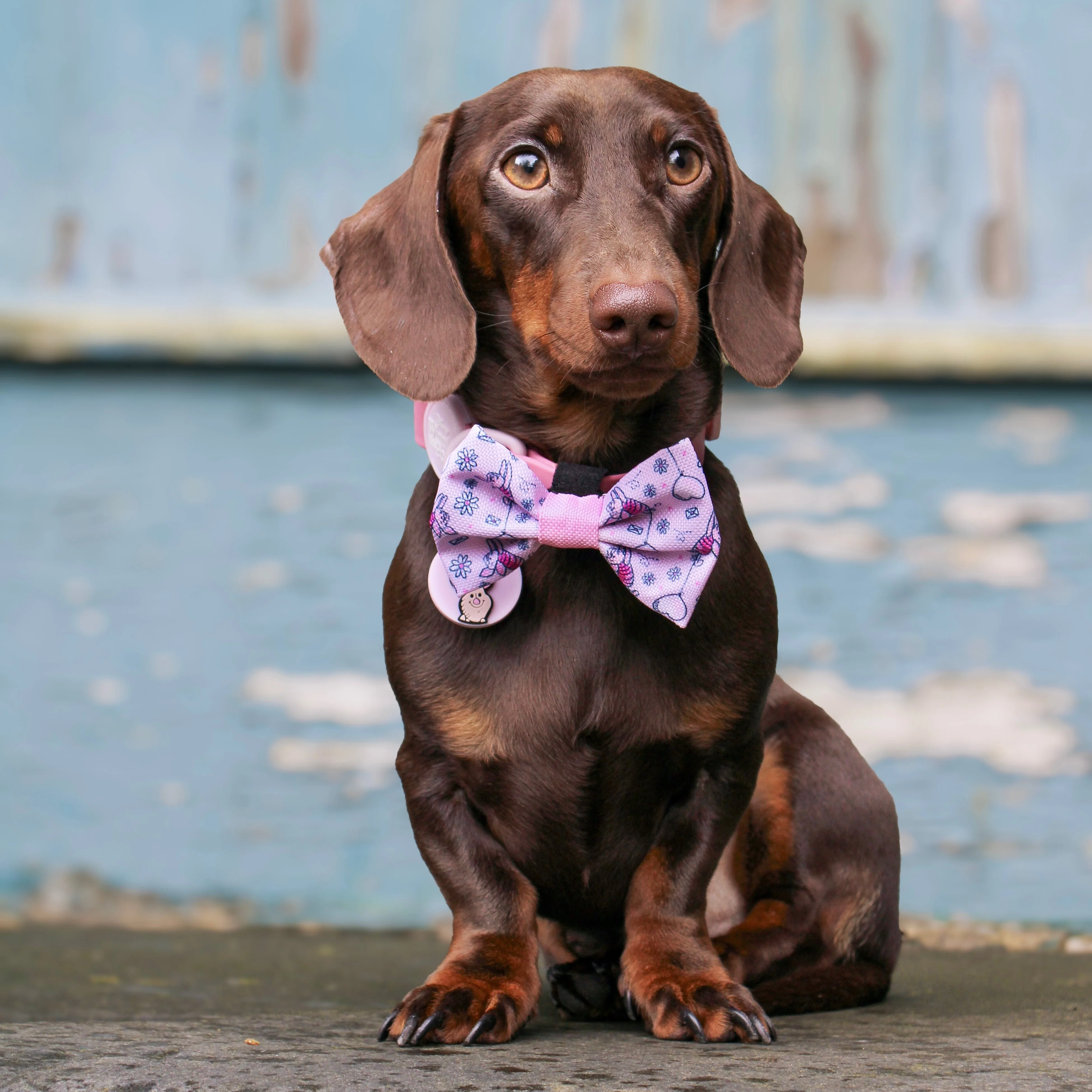 Disney© Bow Tie - Piglet - Image 10