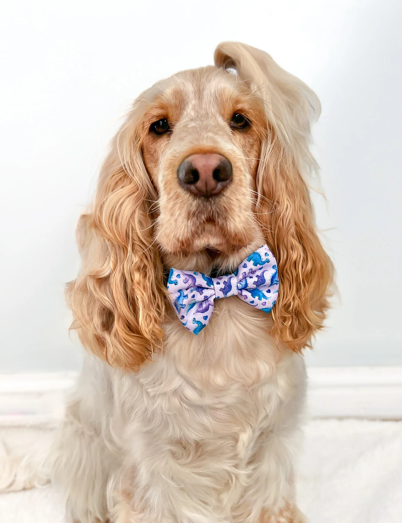 Bow Tie - Tiny Diny - Image 3