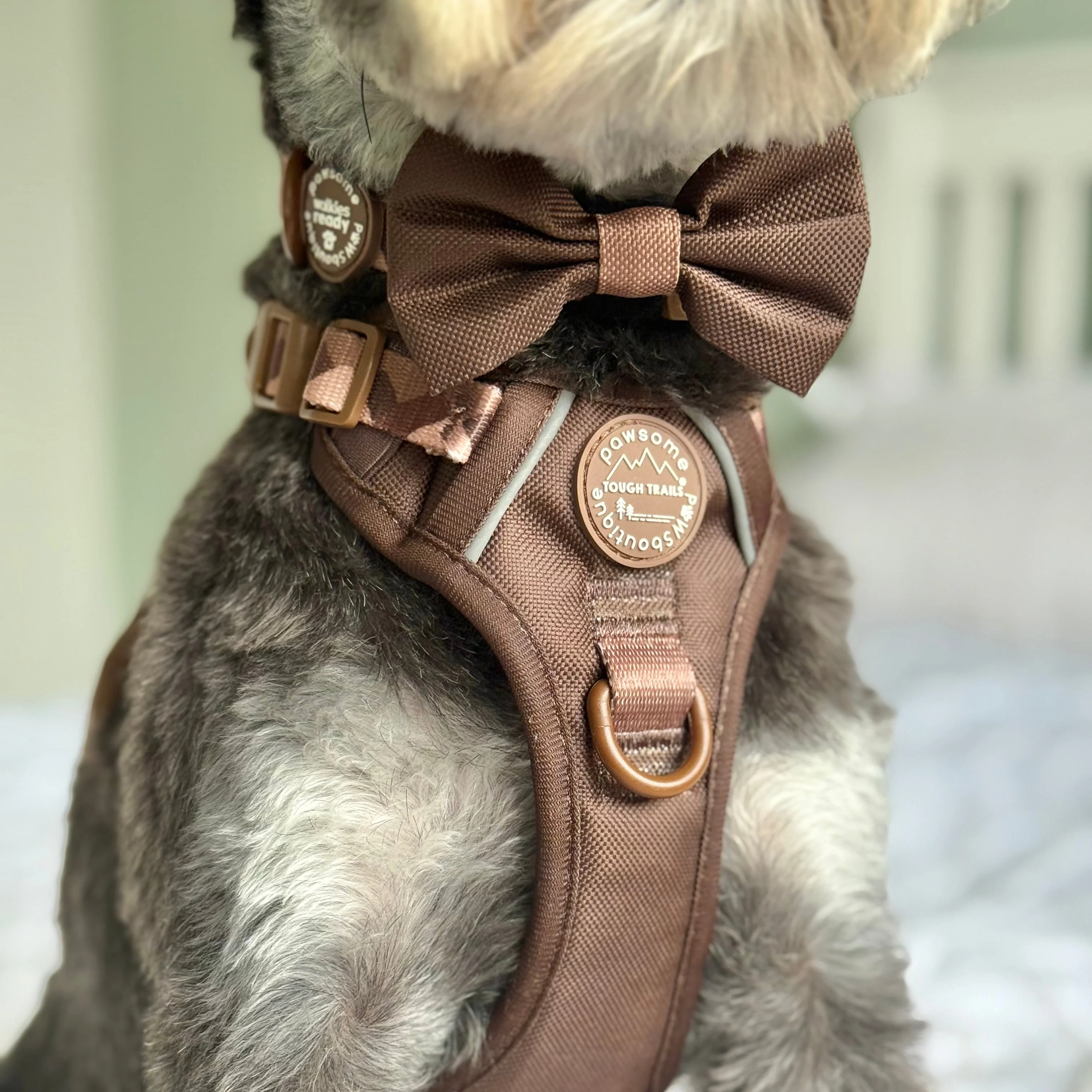 Bow Tie - Walkies Ready® - Chocolate Brown - Image 11