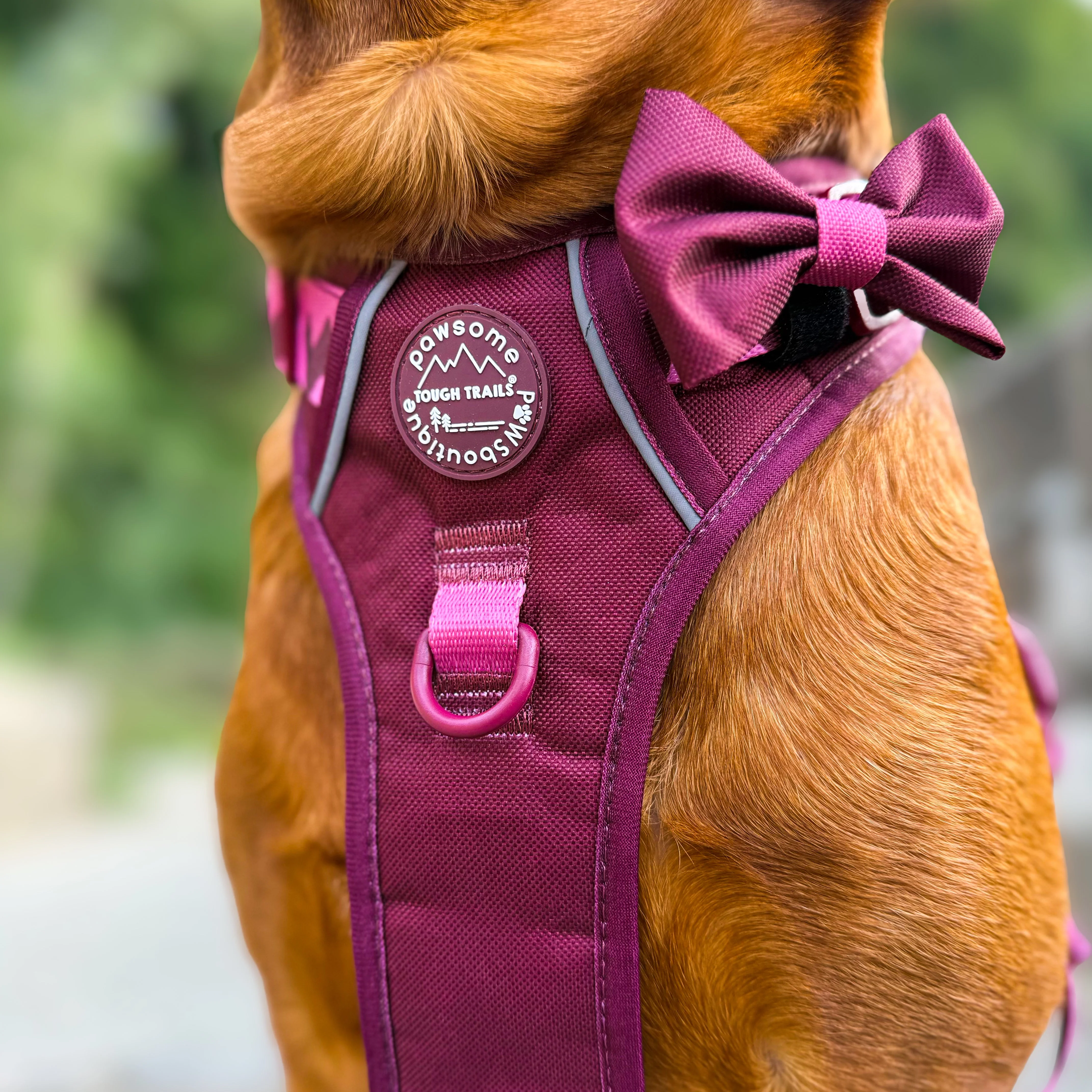 Bow Tie - Walkies Ready® - Mulberry - Image 10