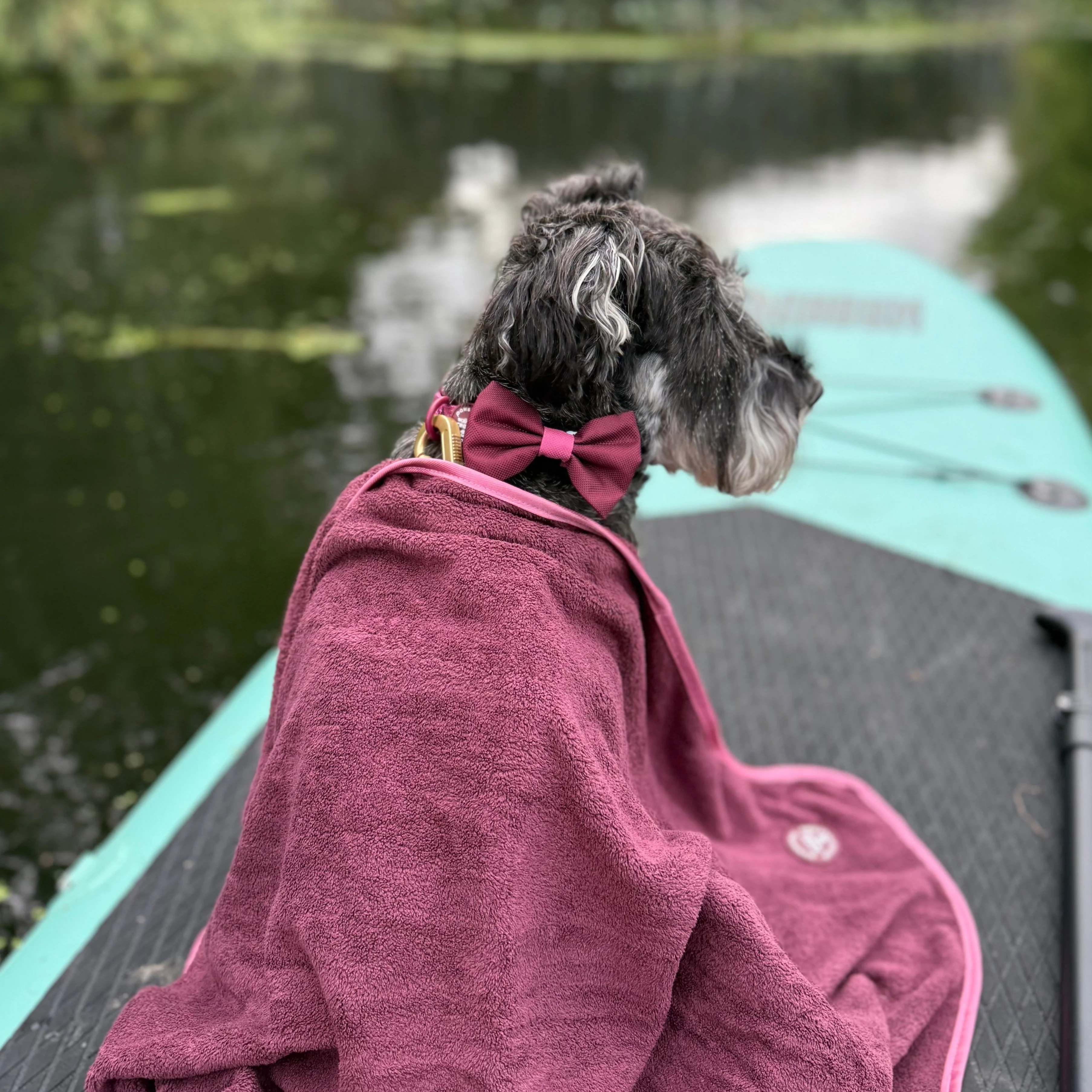 Bow Tie - Walkies Ready® - Mulberry - Image 12