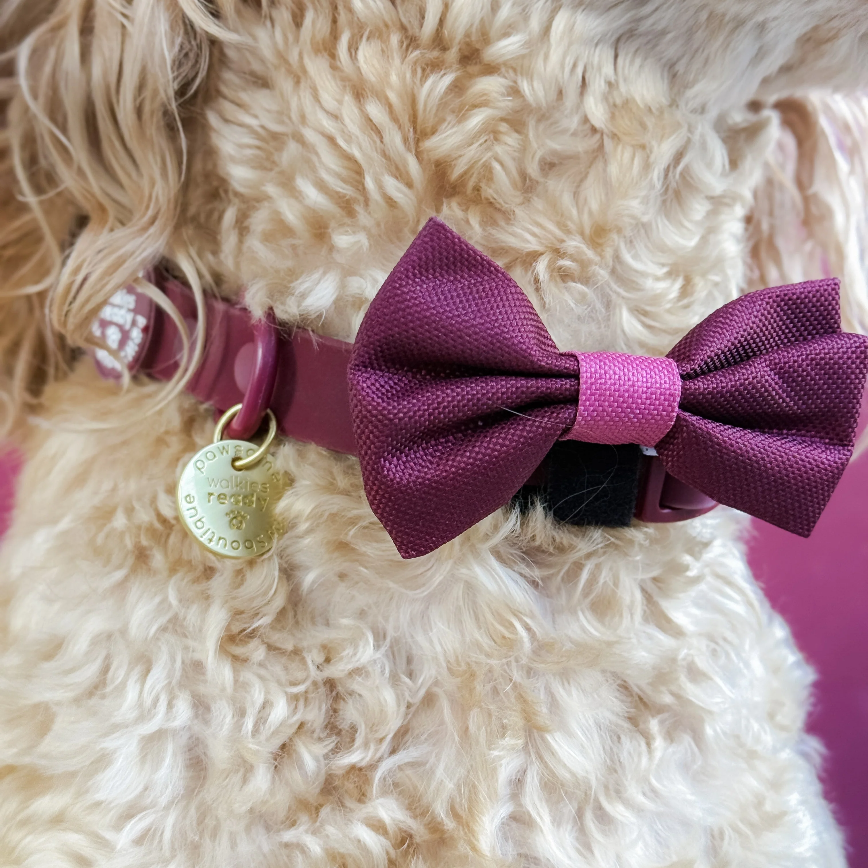 Bow Tie - Walkies Ready® - Mulberry - Image 13