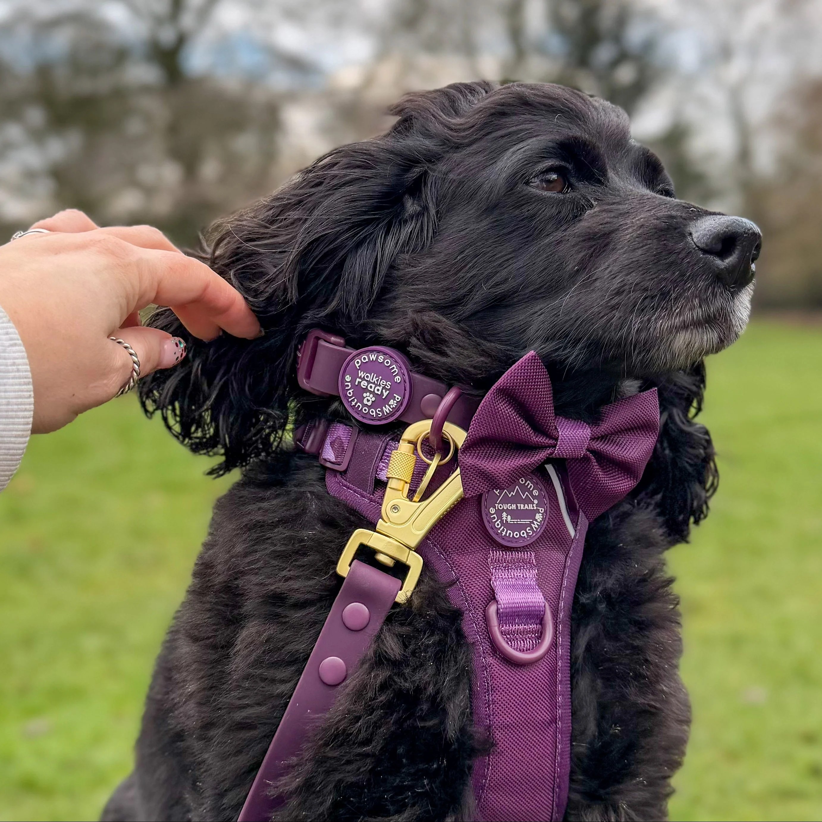 Bow Tie - Walkies Ready® - Plum - Image 3