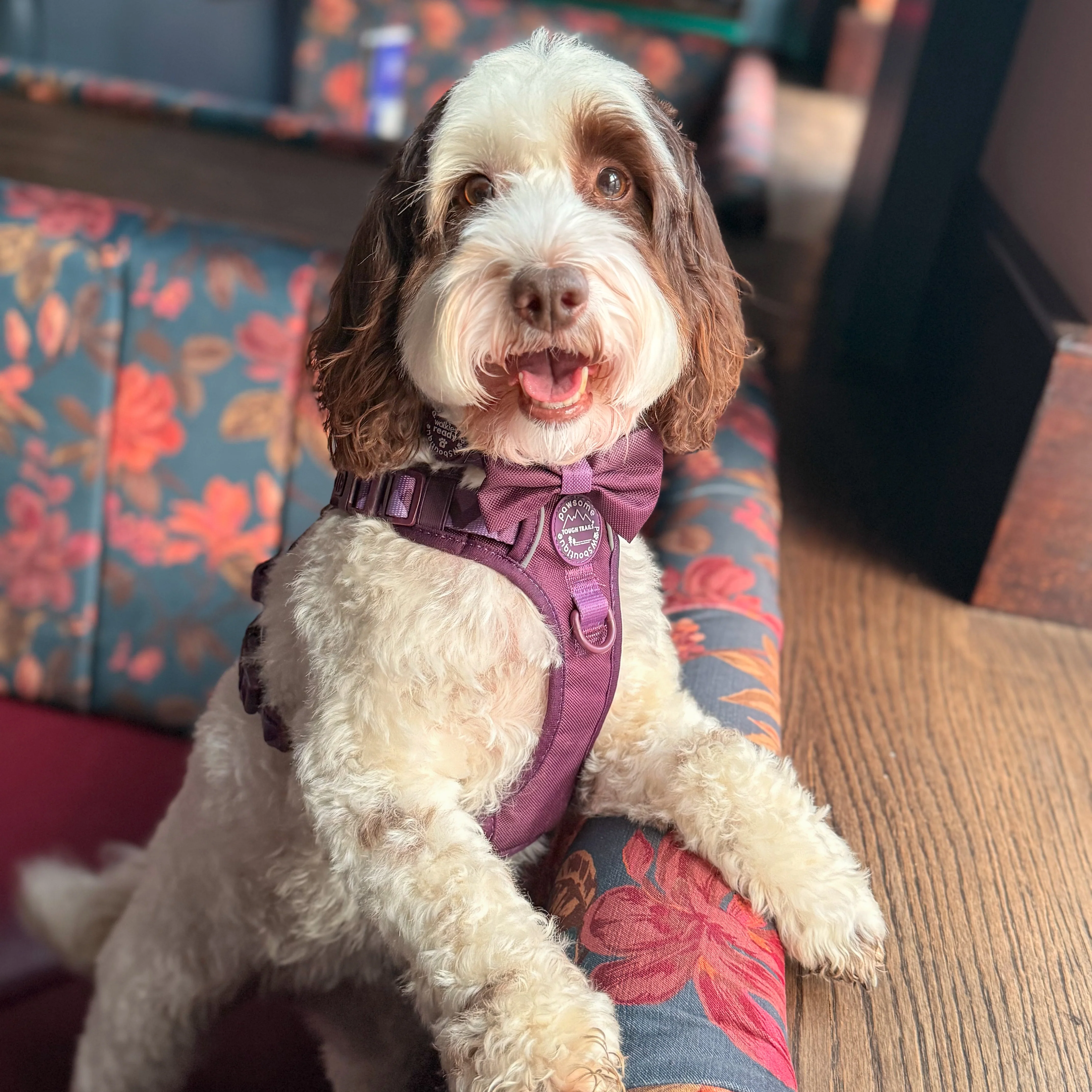 Bow Tie - Walkies Ready® - Plum - Image 7