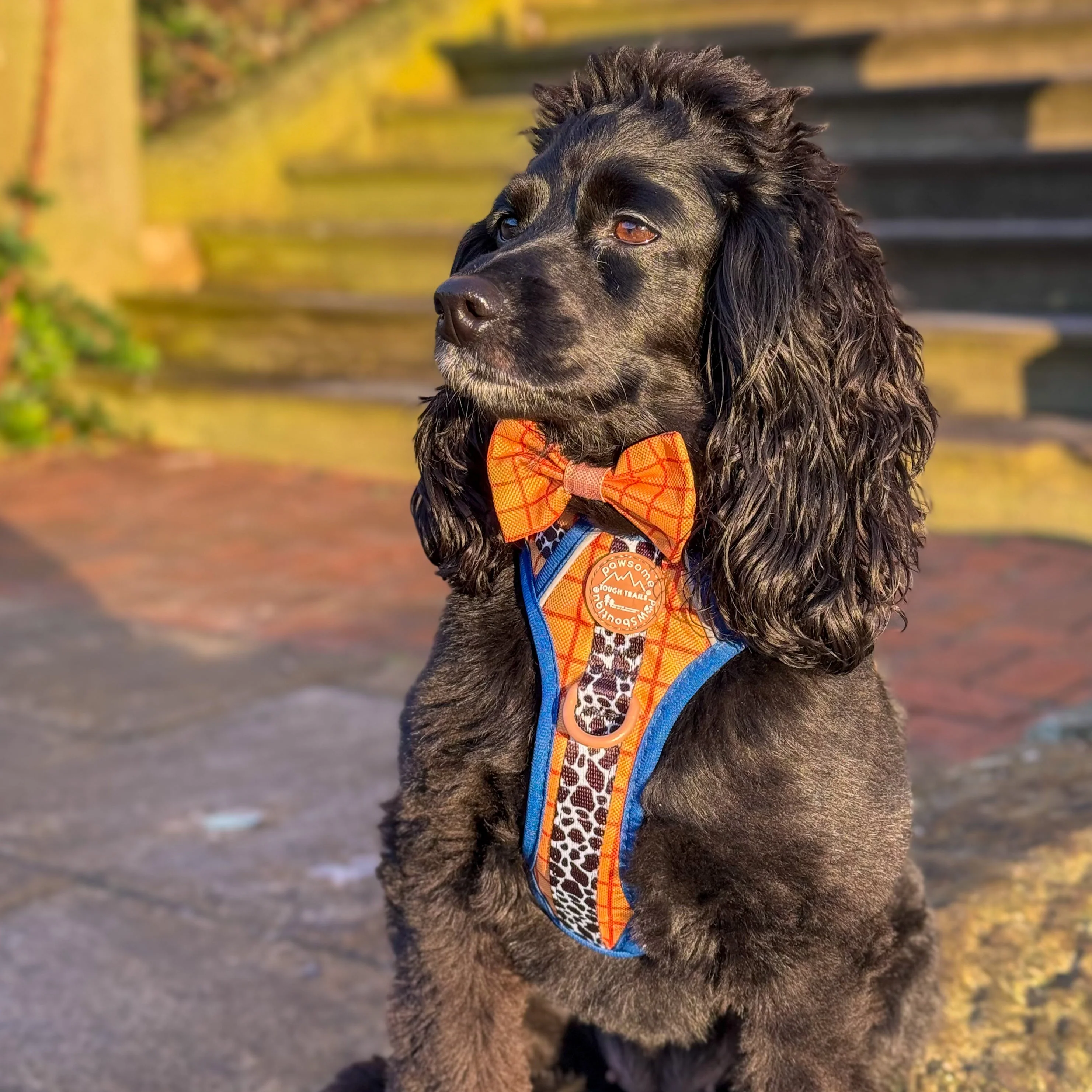 Disney© Bow Tie - Woody - Image 7
