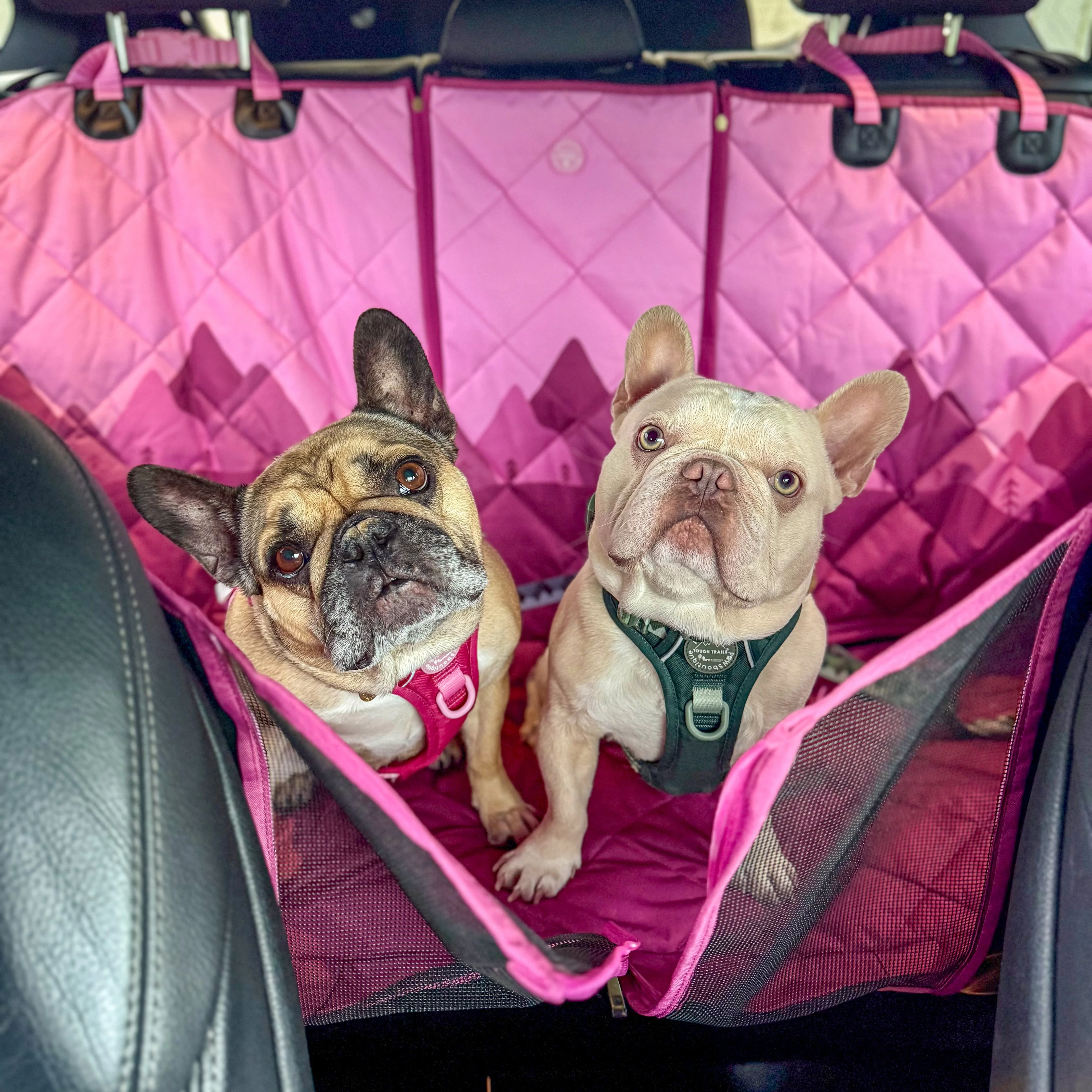 Car Seat Cover - Walkies Ready® Raspberry Pink - Image 14