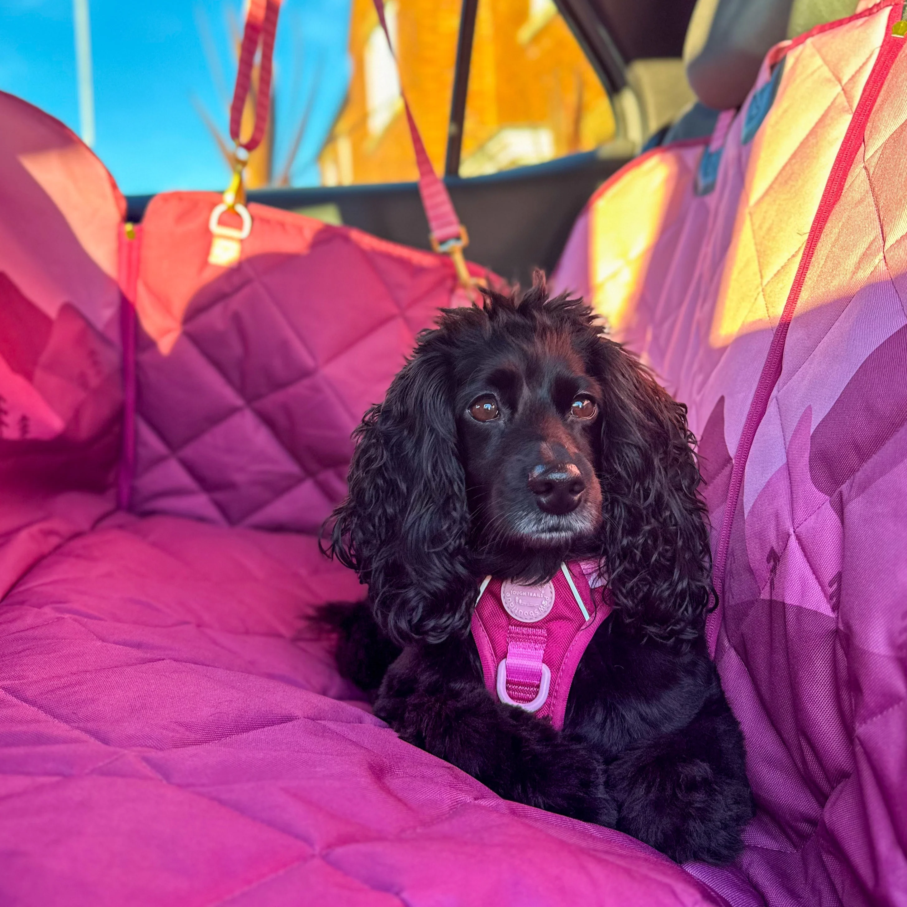 Car Seat Cover - Walkies Ready® Raspberry Pink - Image 15