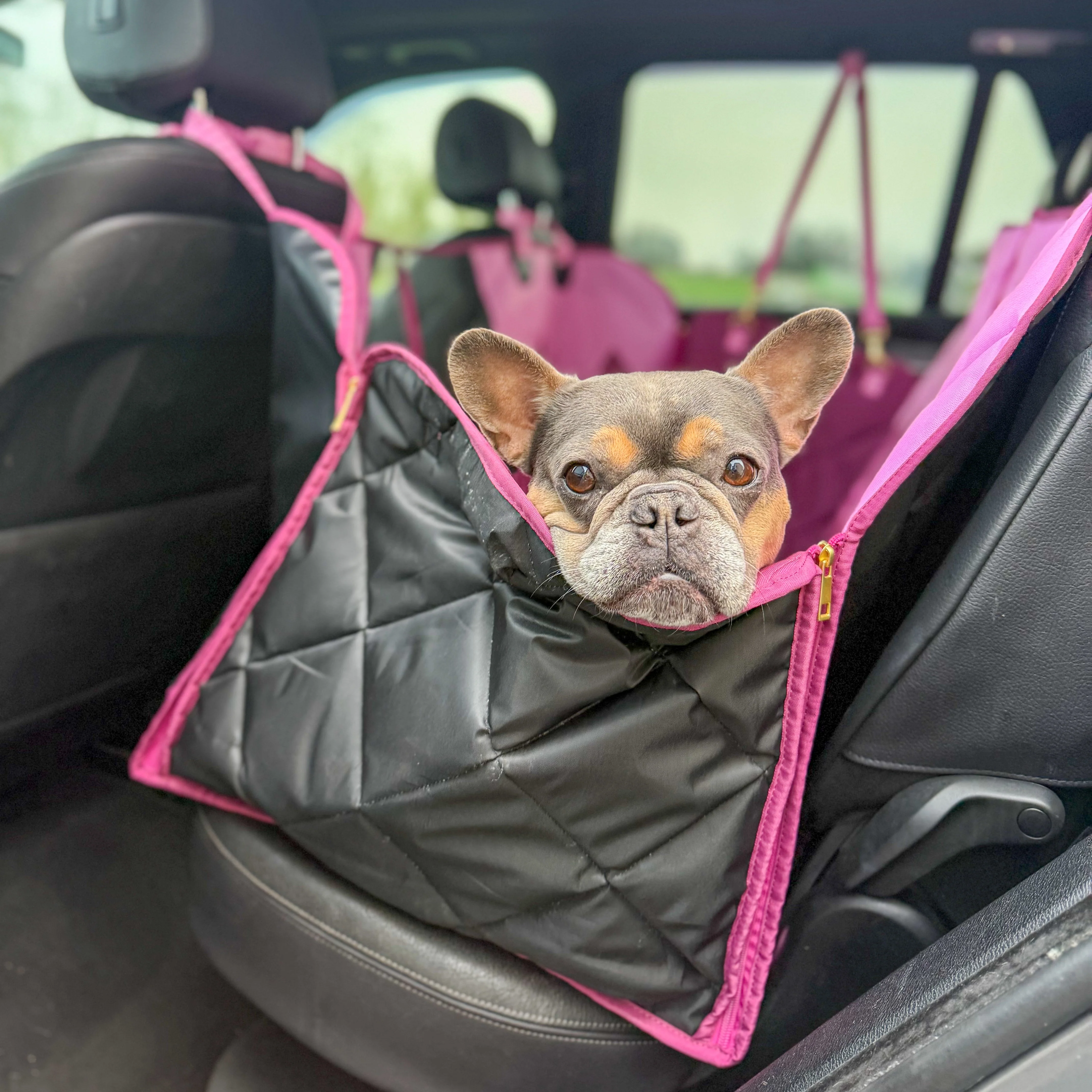 Car Seat Cover - Walkies Ready® Raspberry Pink - Image 18