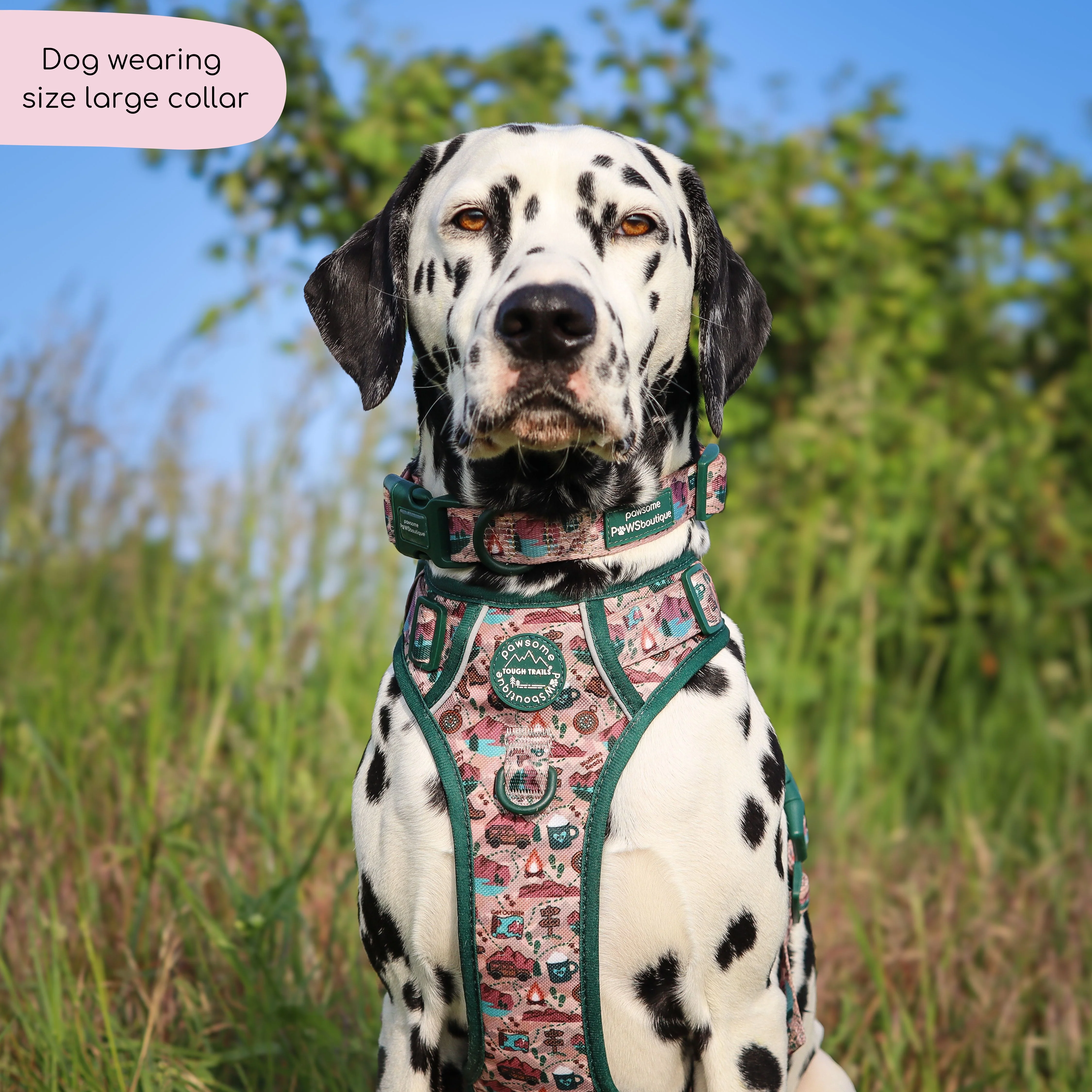 Collar - Adventure Awaits - Image 10