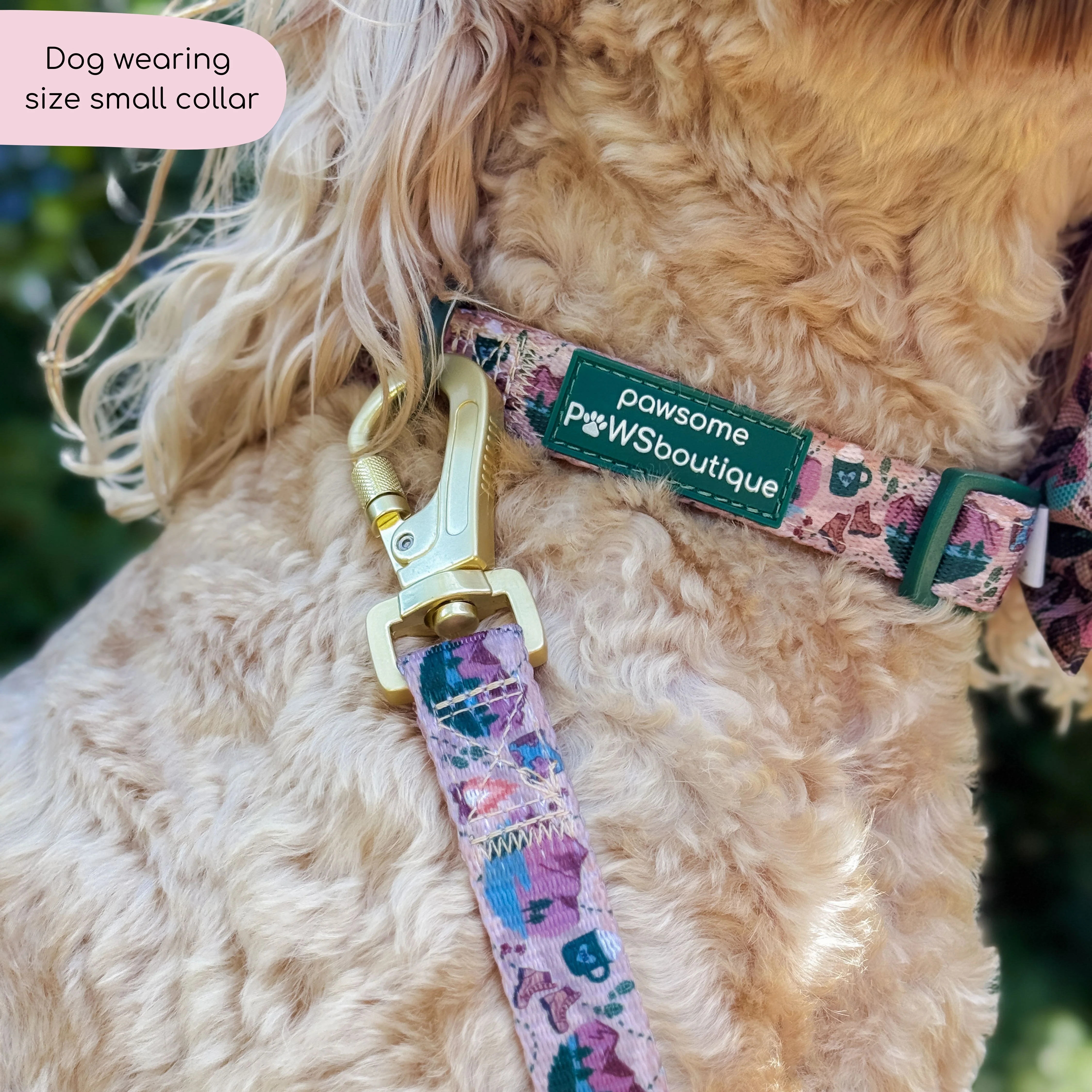 Collar - Adventure Awaits - Image 11