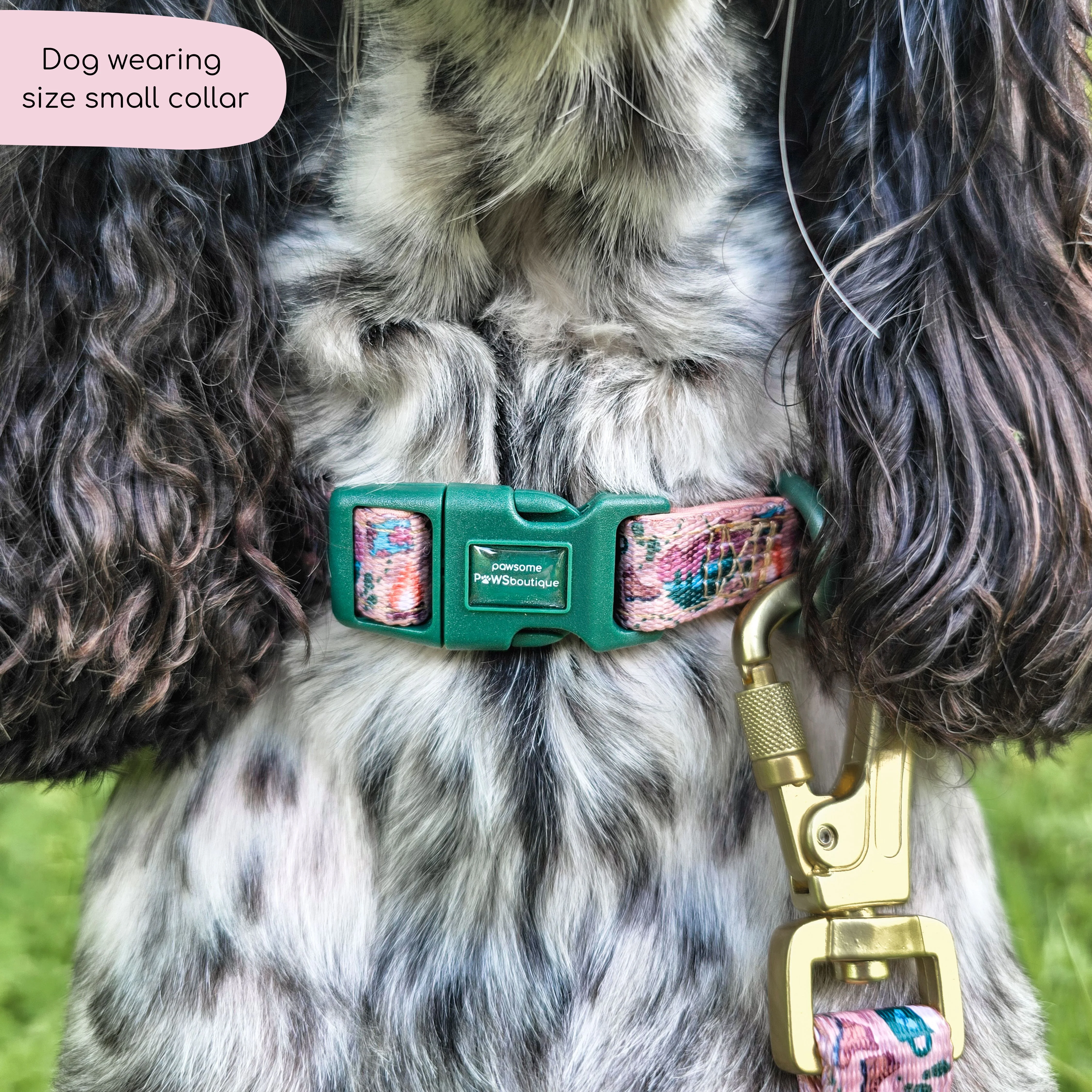 Collar - Adventure Awaits - Image 17