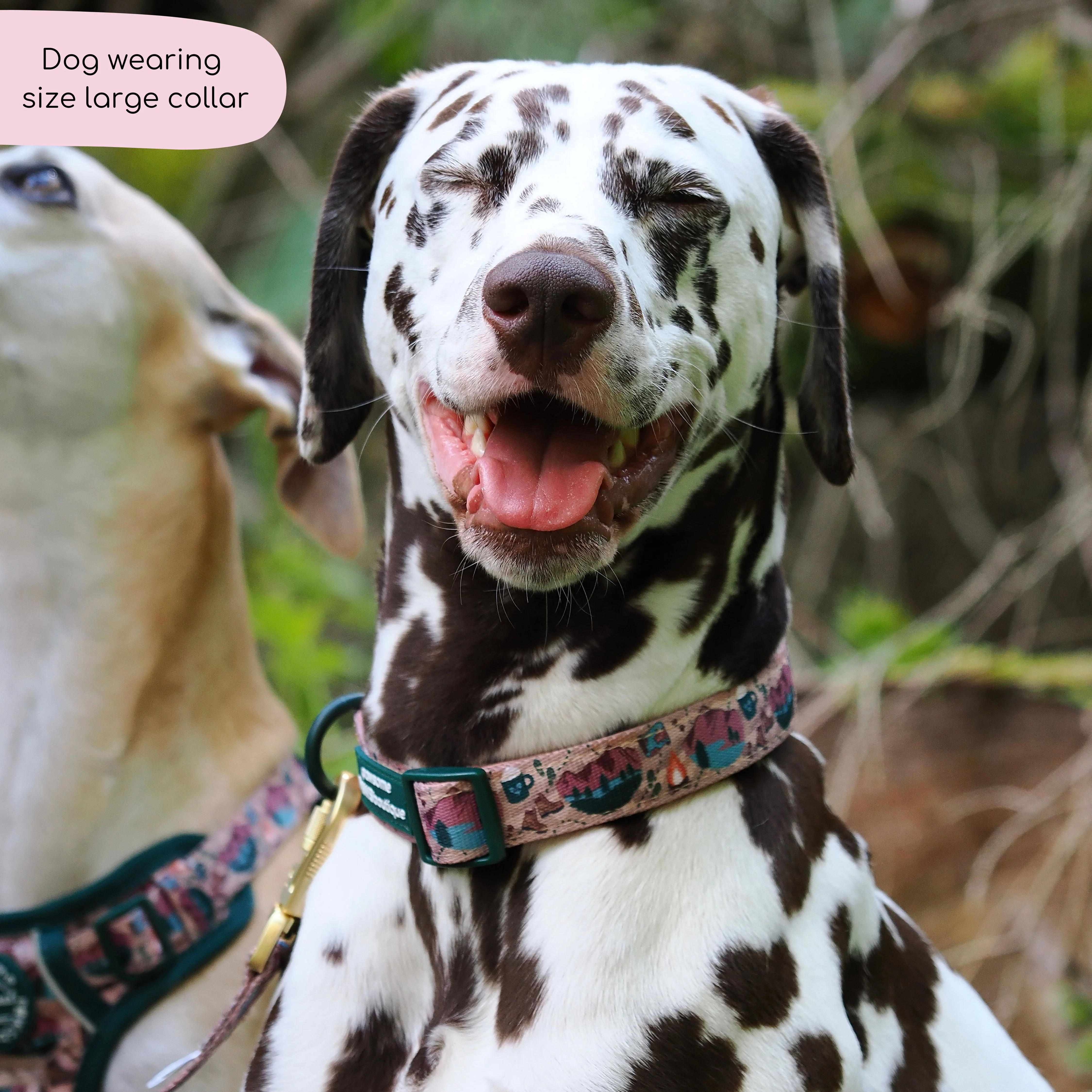 Collar - Adventure Awaits - Image 6