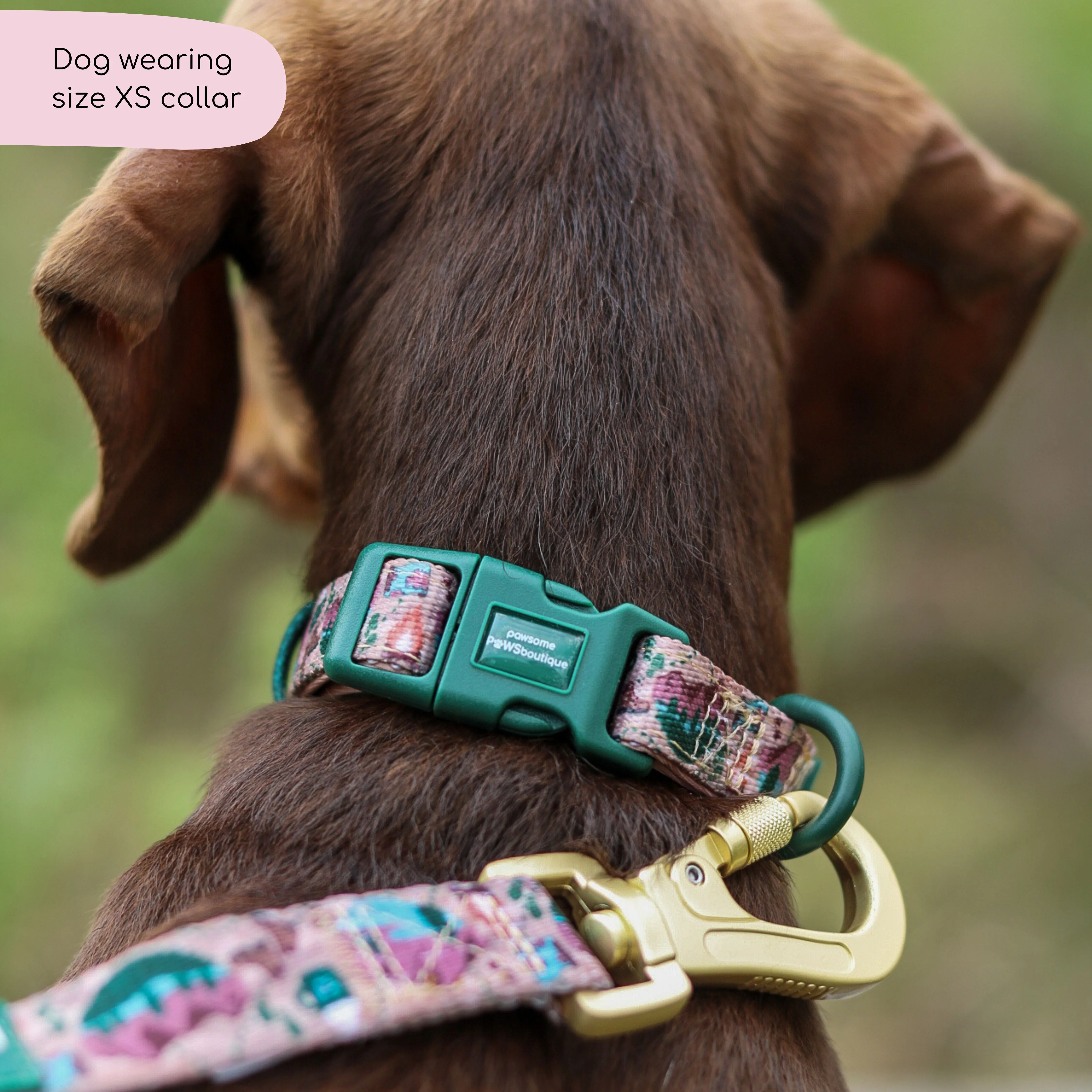 Collar - Adventure Awaits - Image 8