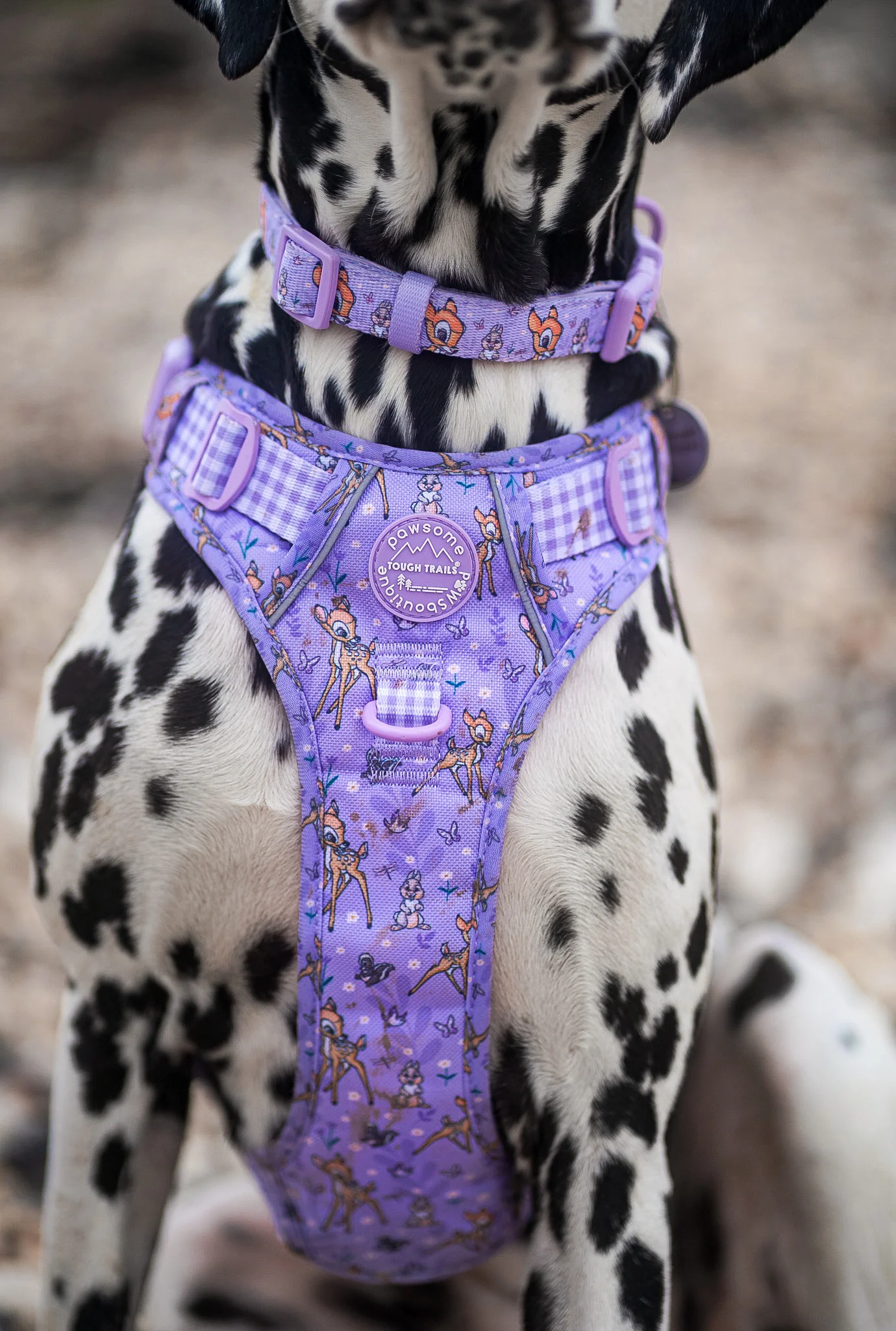 Disney© Collar - Bambi + Friends Lilac - Image 6