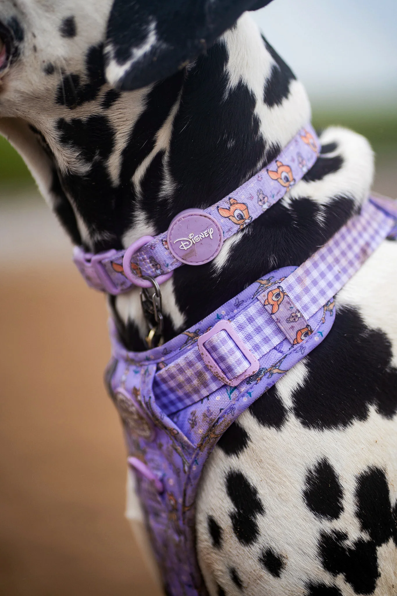 Disney© Collar - Bambi + Friends Lilac - Image 7