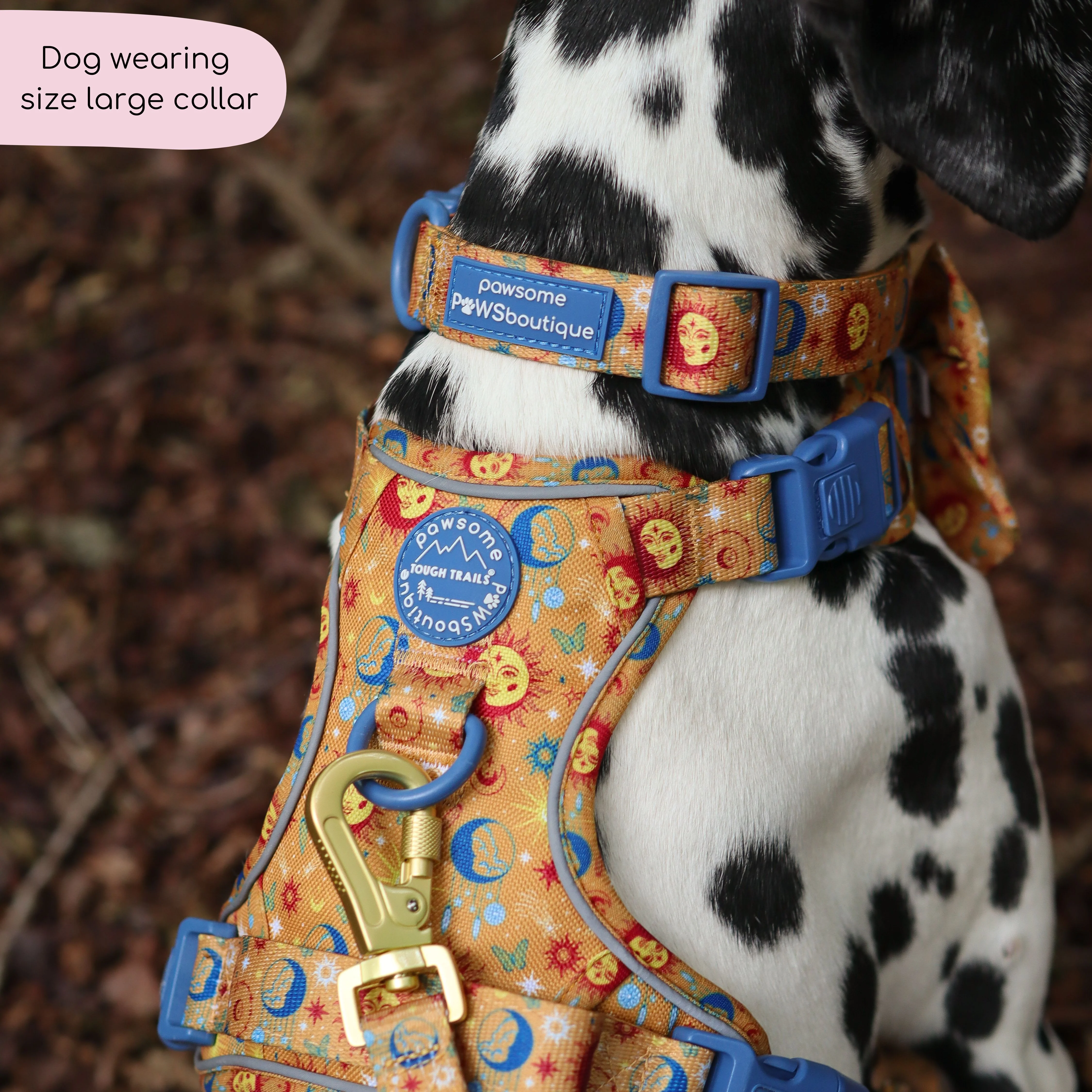 Collar - Celestial Spirit - Image 11