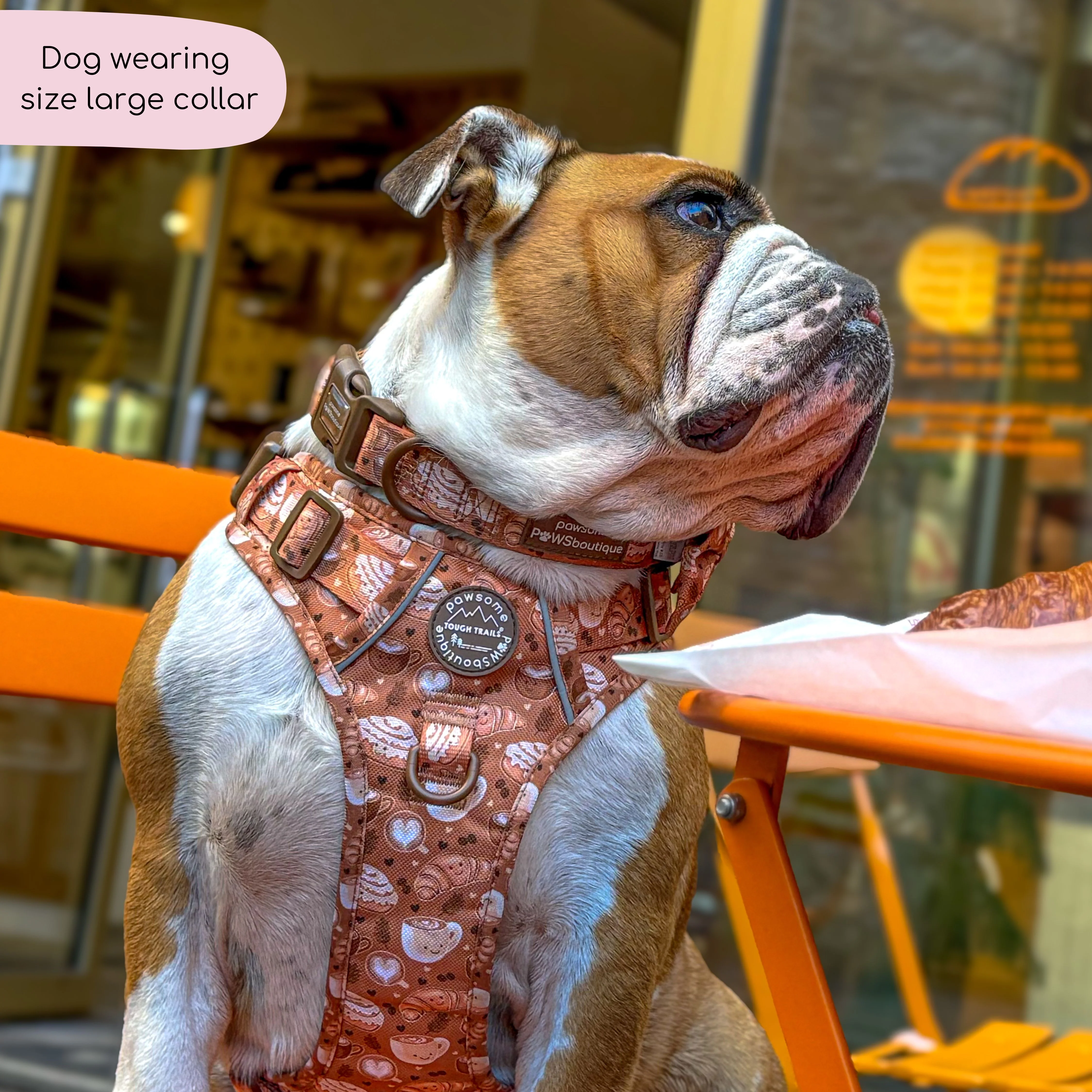 Collar - Cinnamon Spice - Image 14