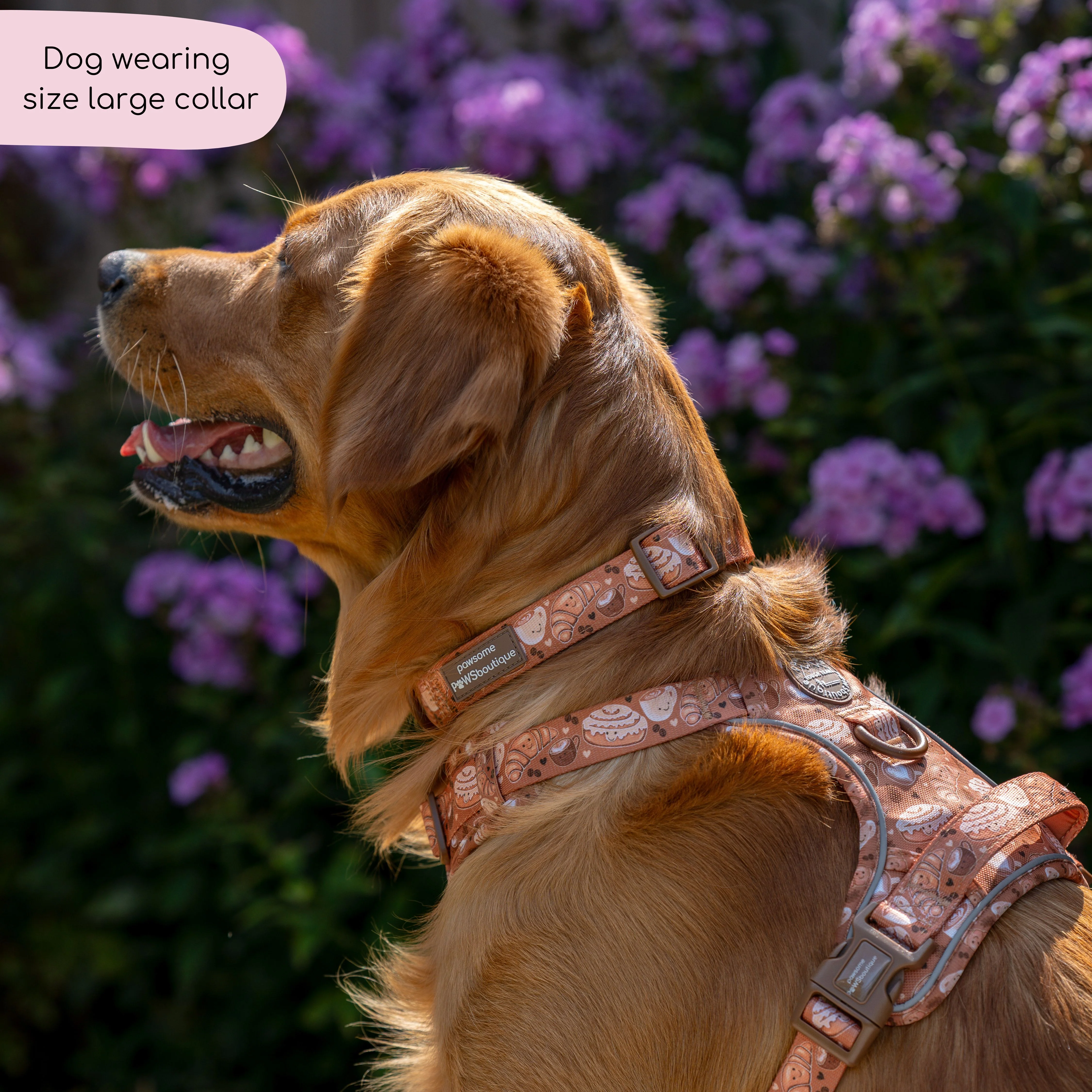 Collar - Cinnamon Spice - Image 5
