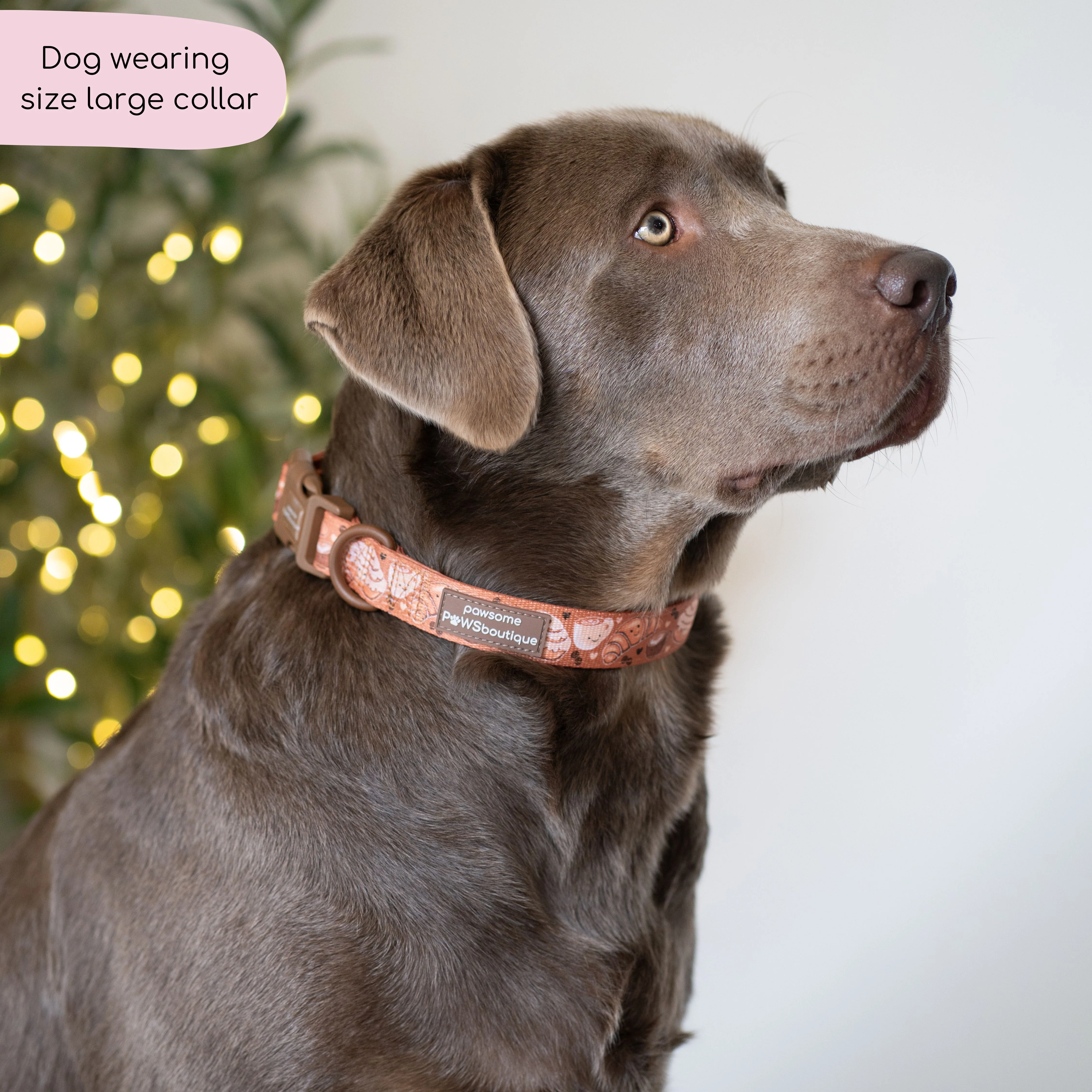 Collar - Cinnamon Spice - Image 6