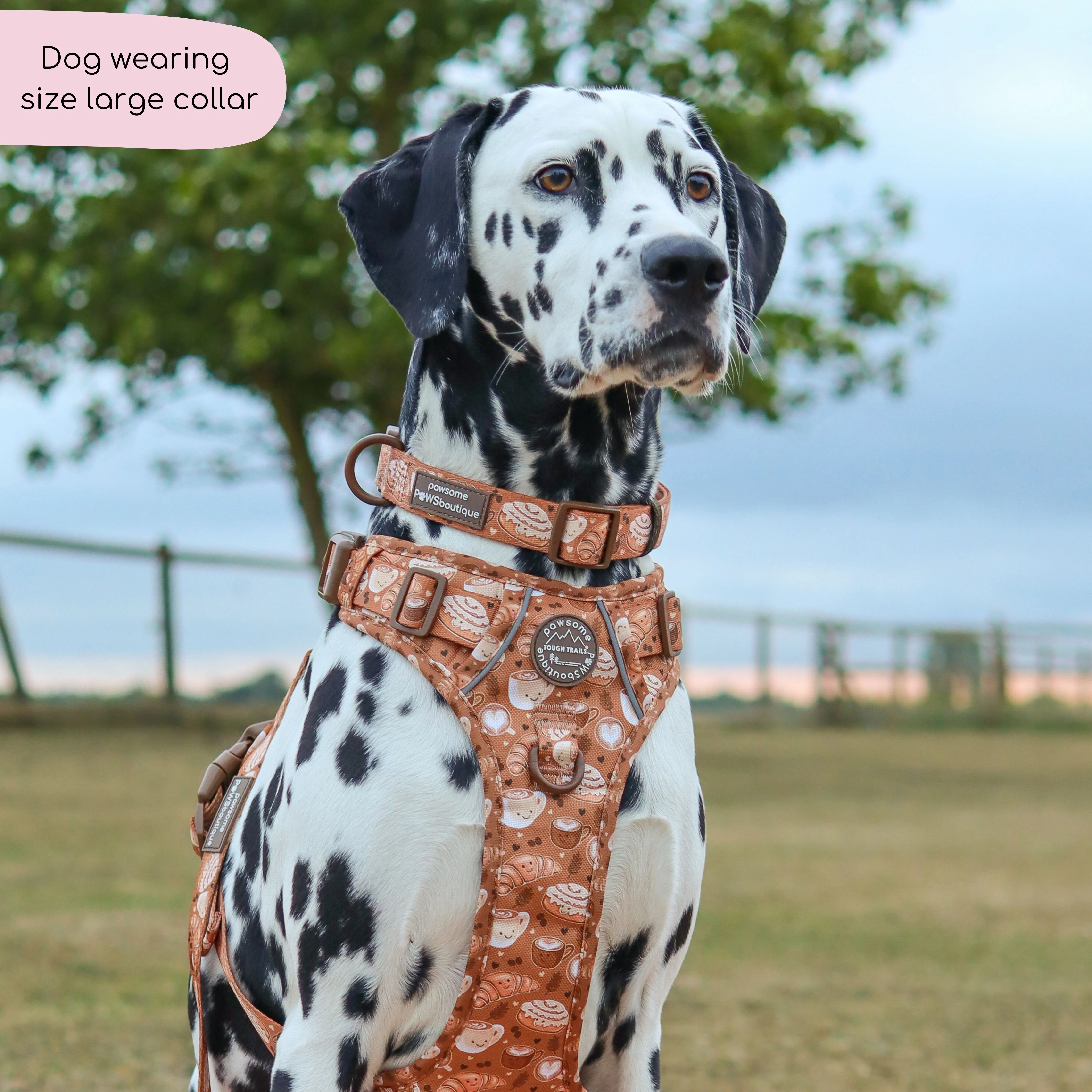 Collar - Cinnamon Spice - Image 8