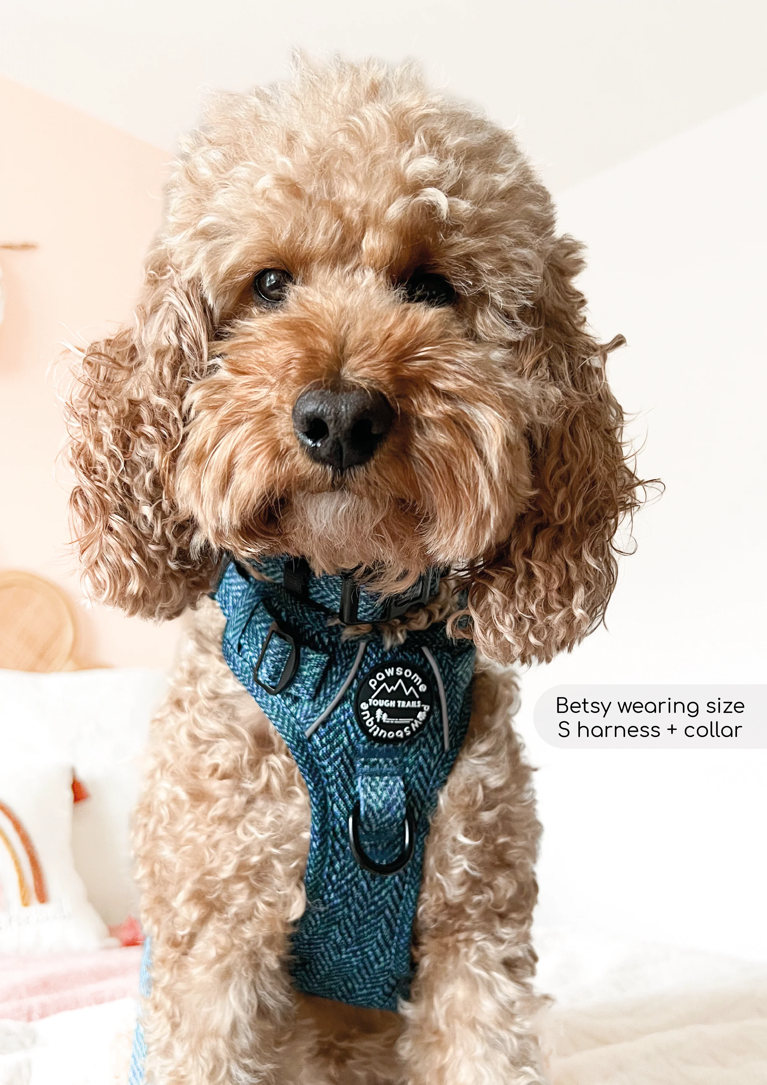 Collar - Country Teal - Image 3