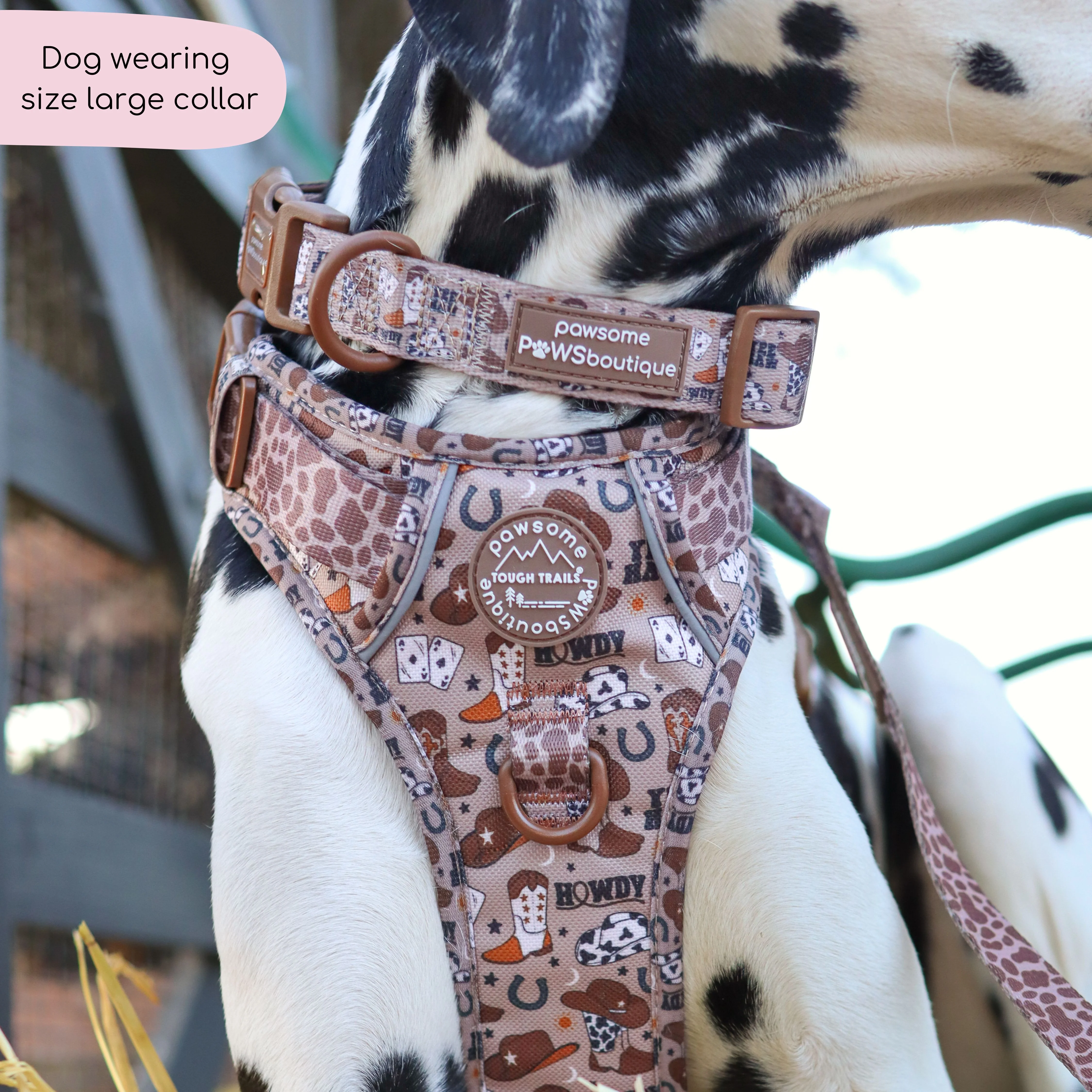 Collar - Cowboy - Image 3