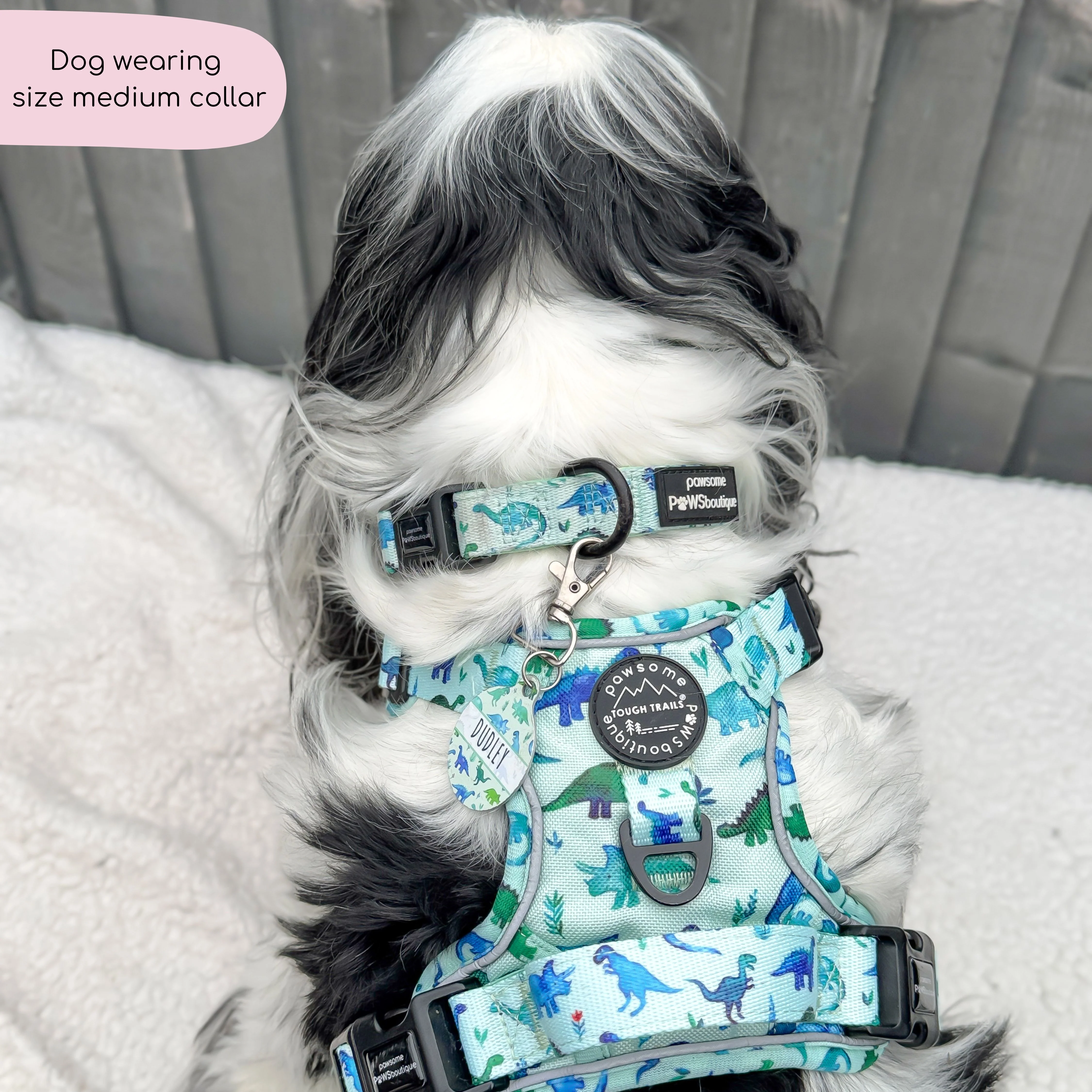 Collar - Dinky Dino - Image 3