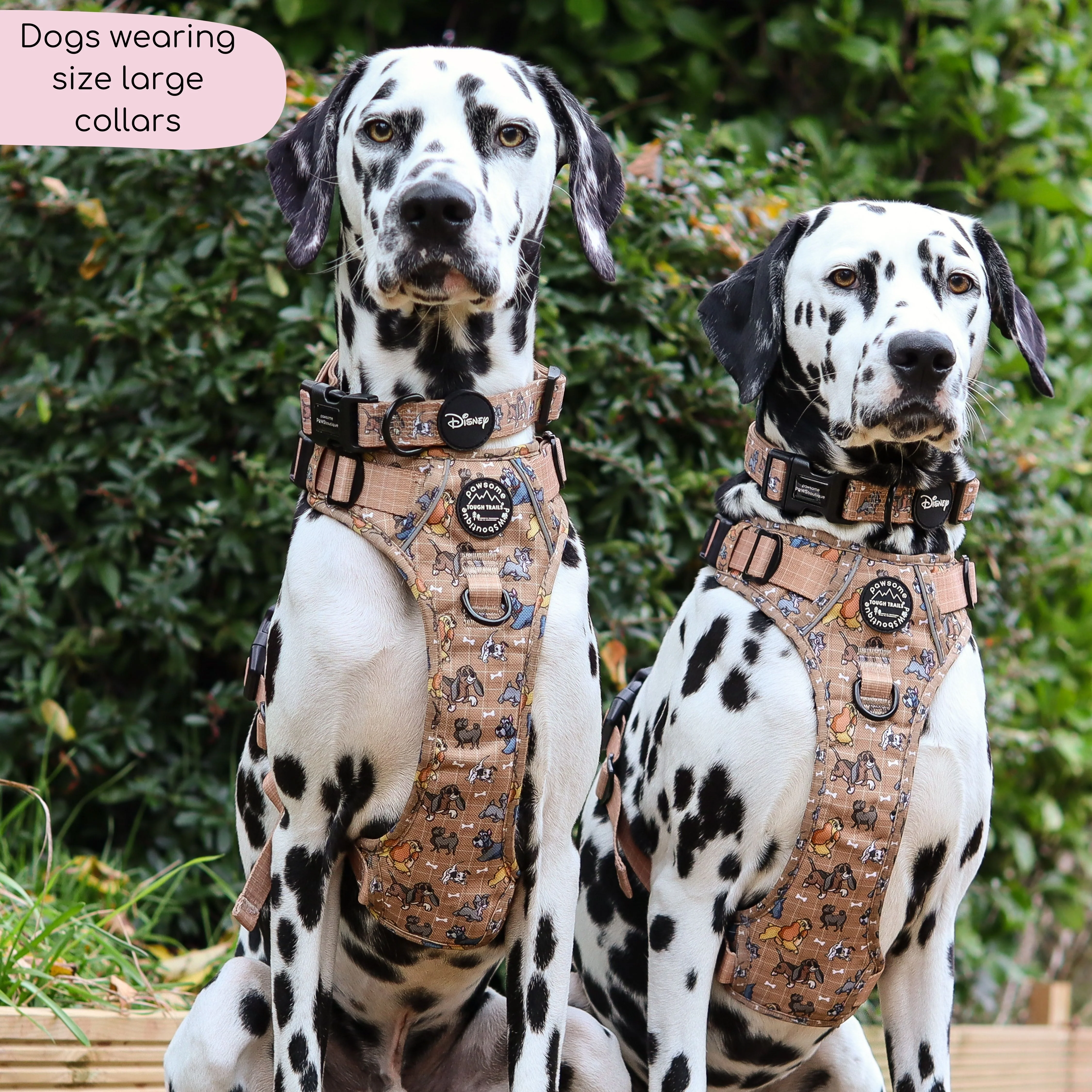 Disney© Collar - Disney Dogs - Image 7