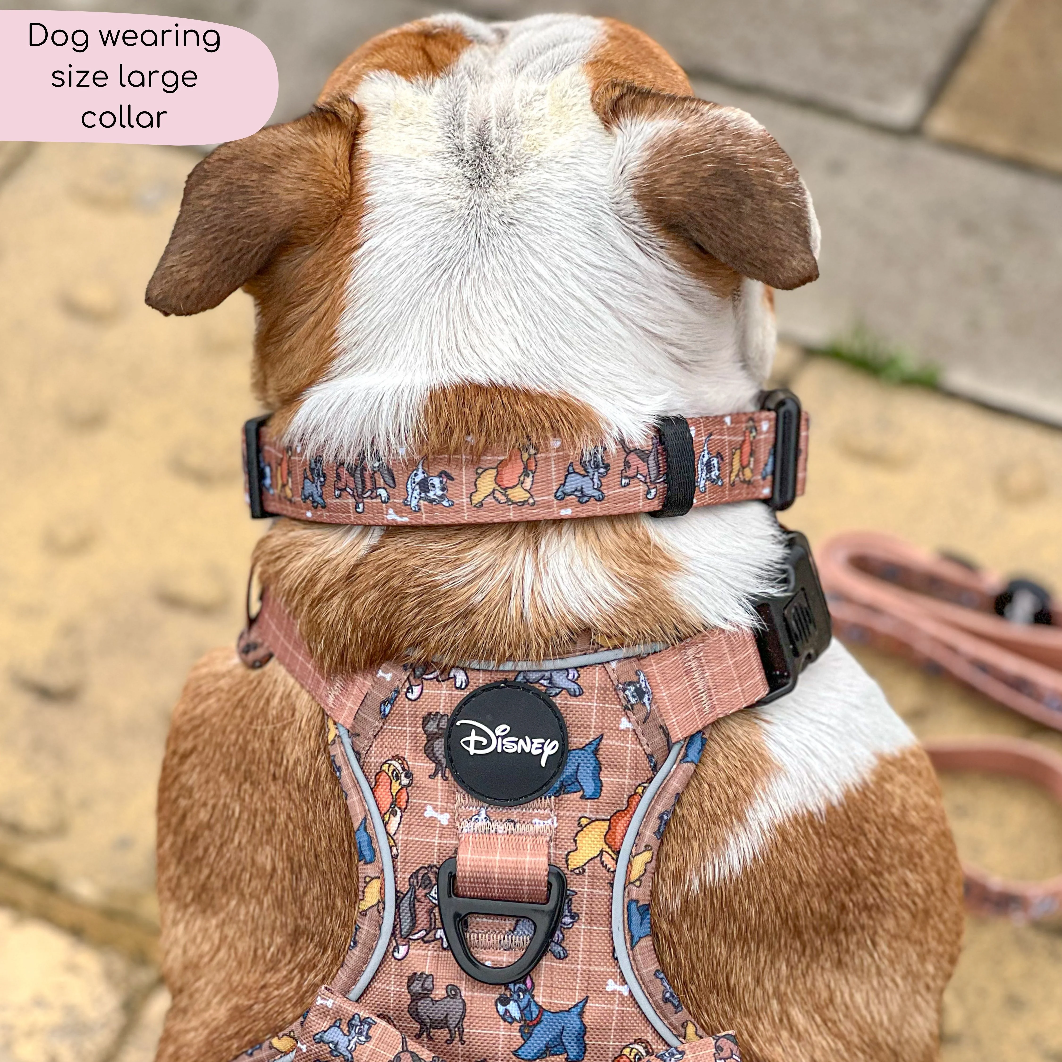Disney© Collar - Disney Dogs - Image 8