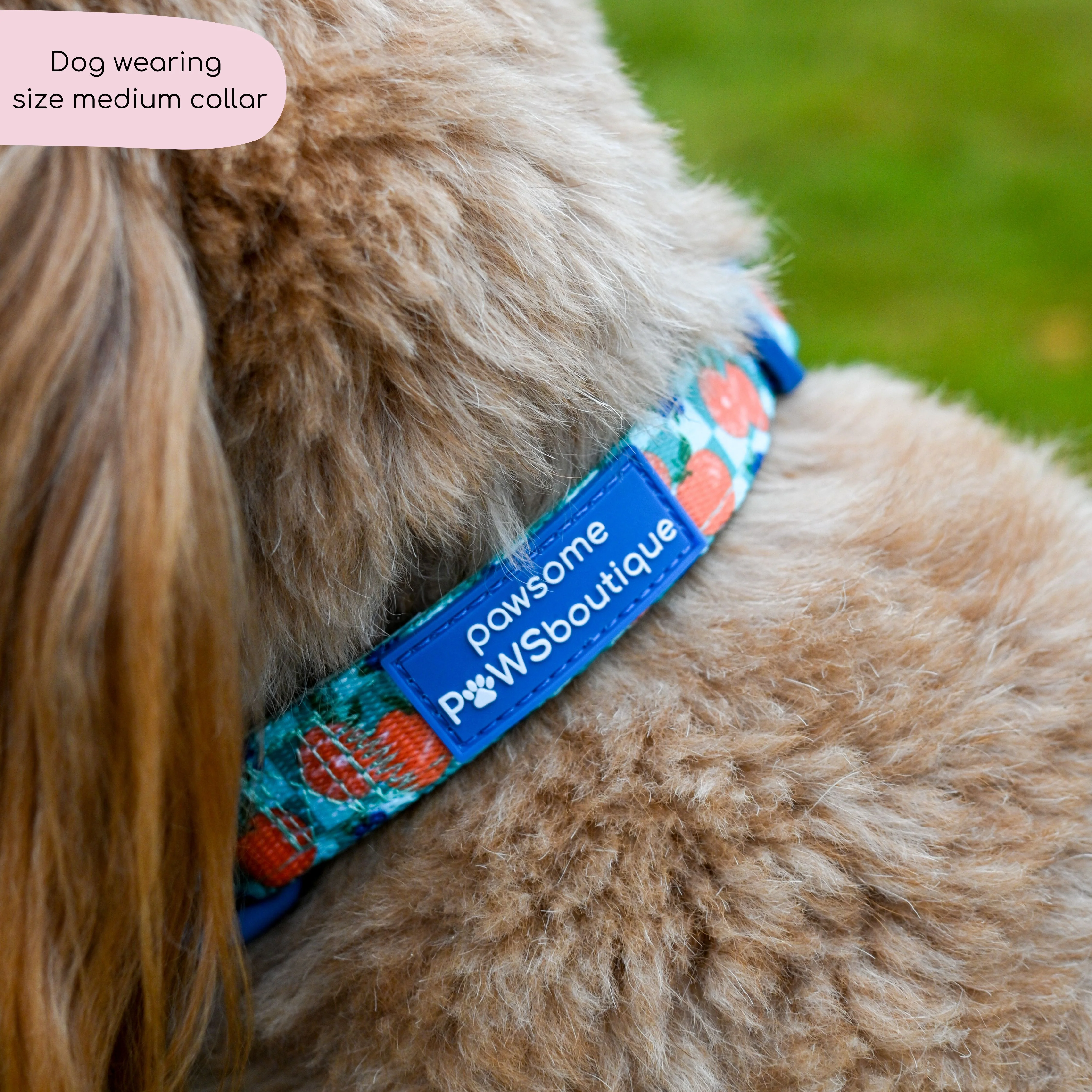 Collar - Fruit Punch - Image 6