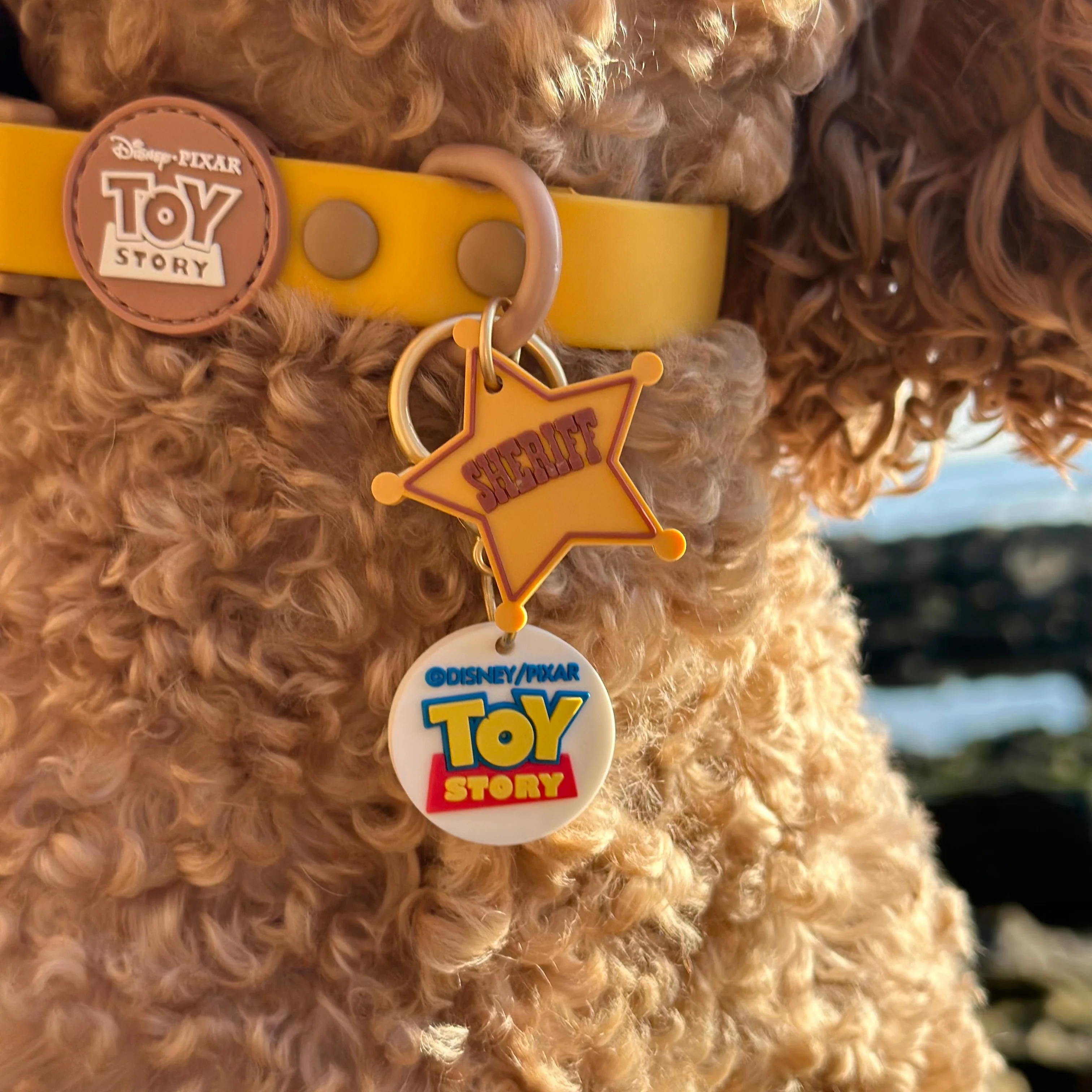 Disney© Collar/Lead Charm - Toy Story - Image 8