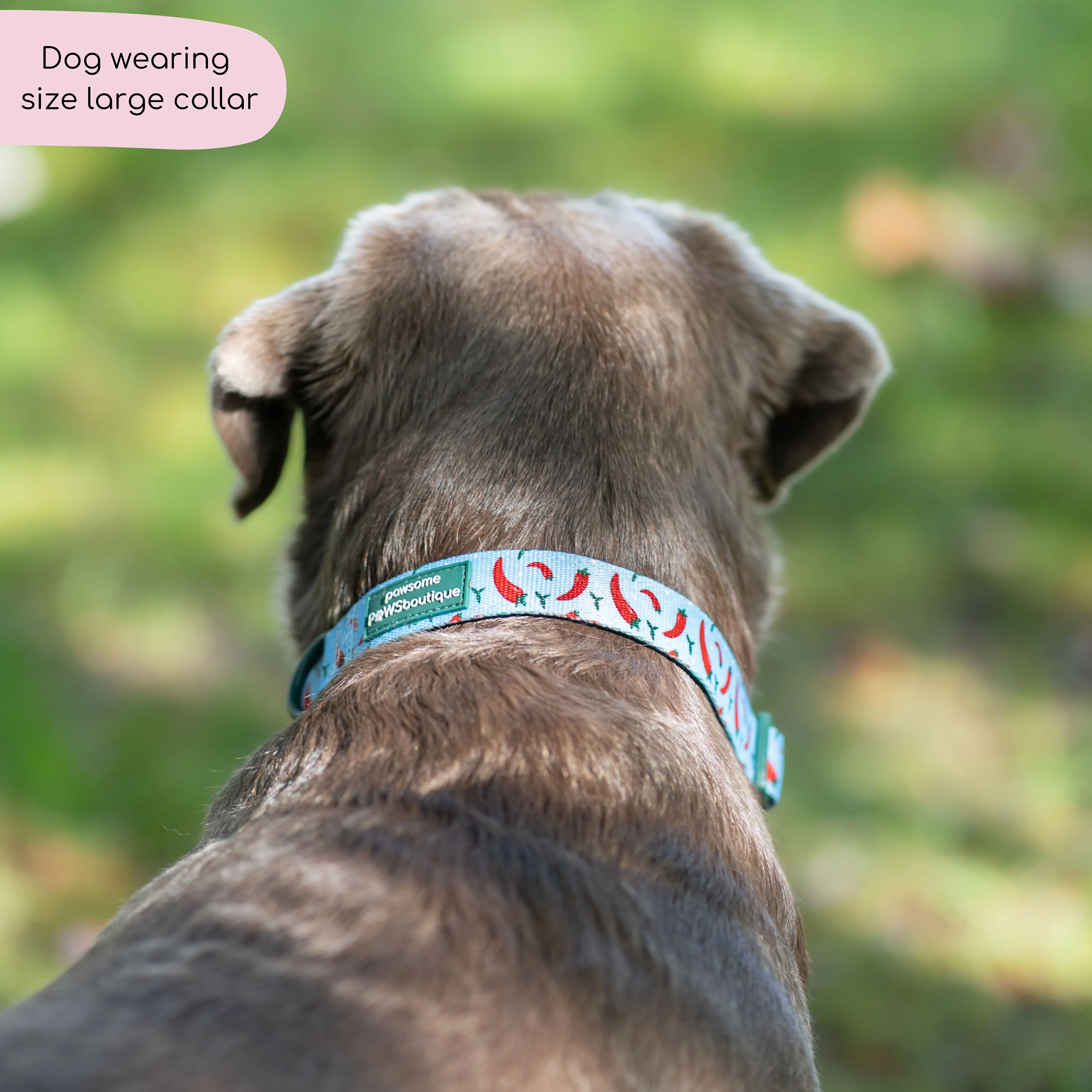 Collar - Stay Spicy - Image 6