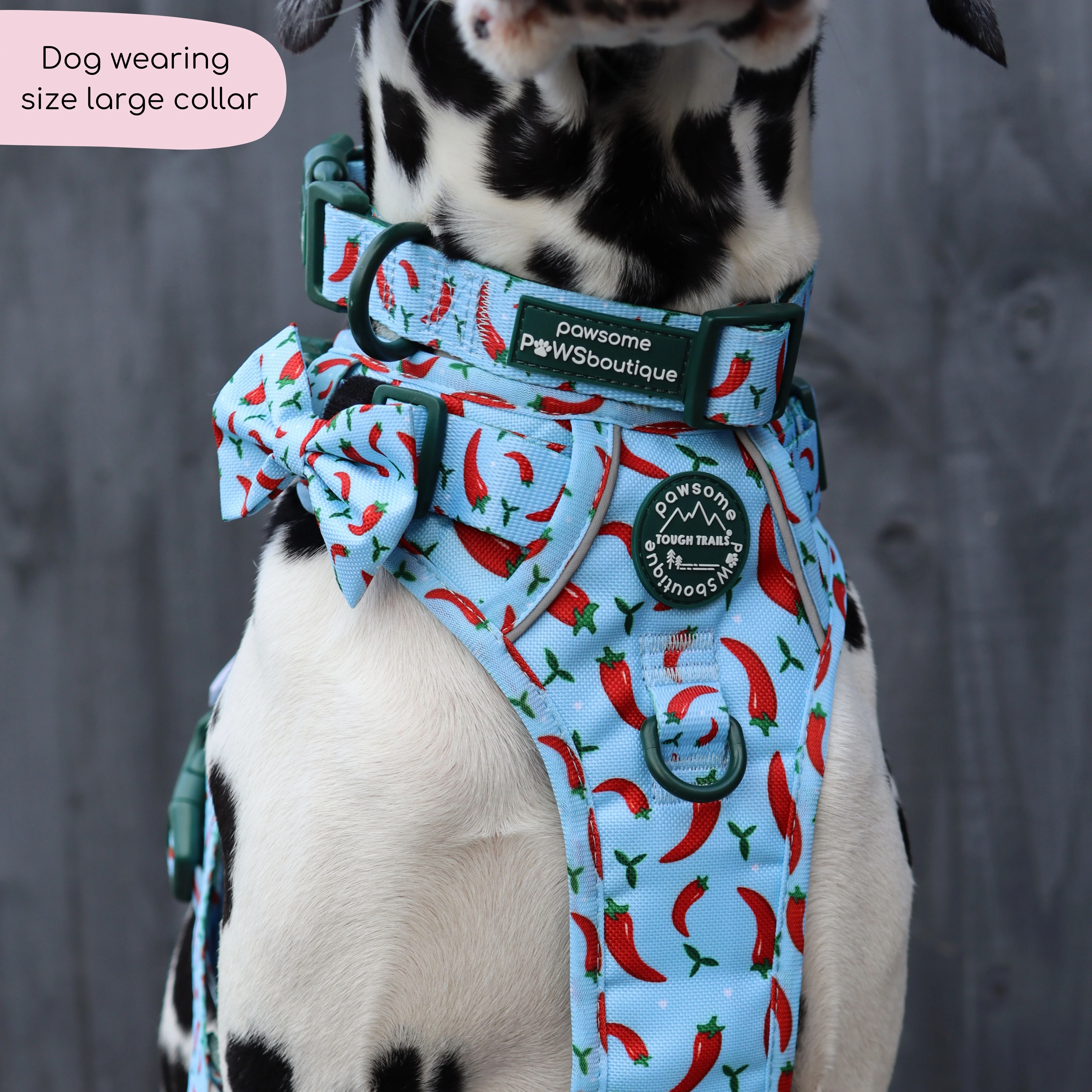 Collar - Stay Spicy - Image 9