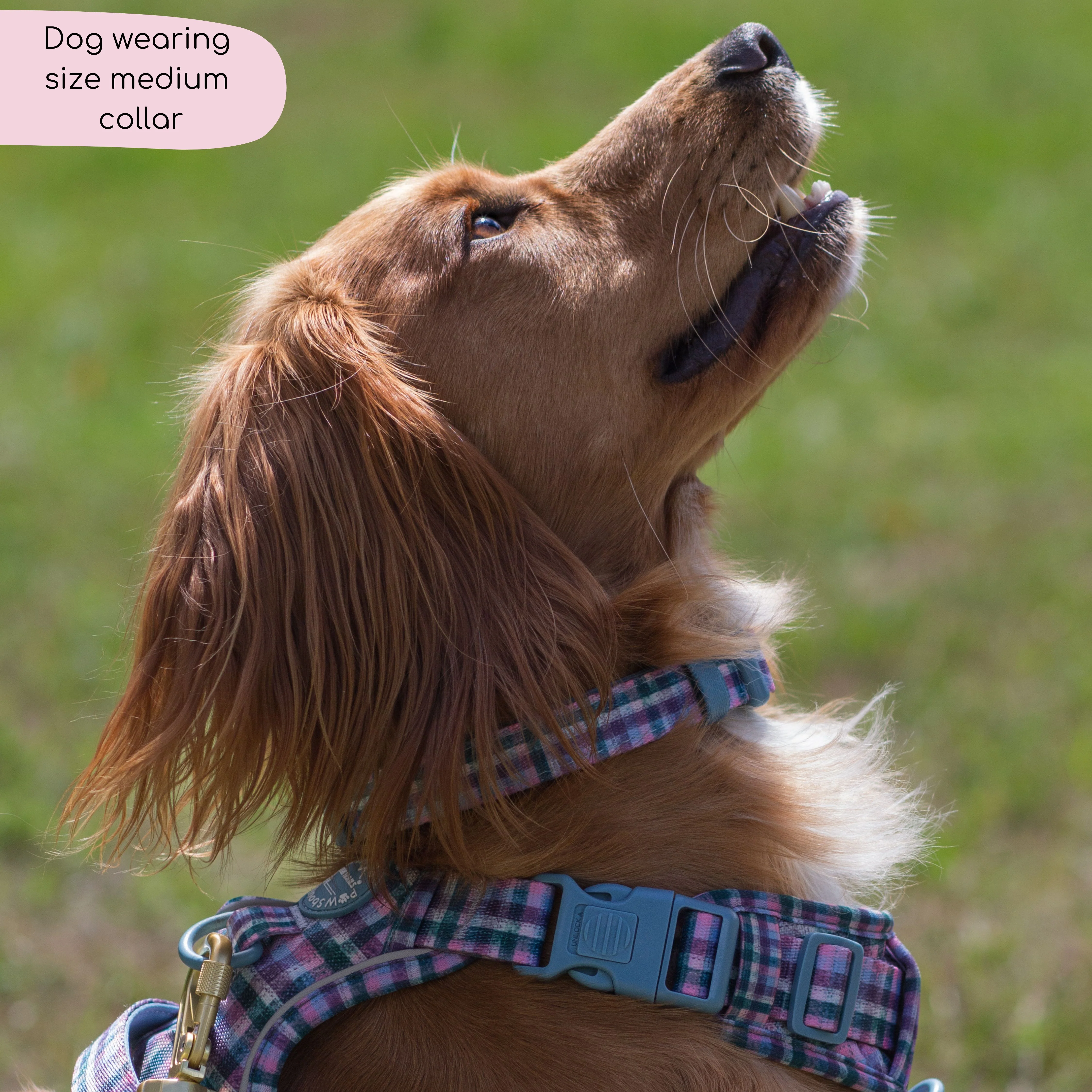 Collar - Tweed Twilight - Image 7