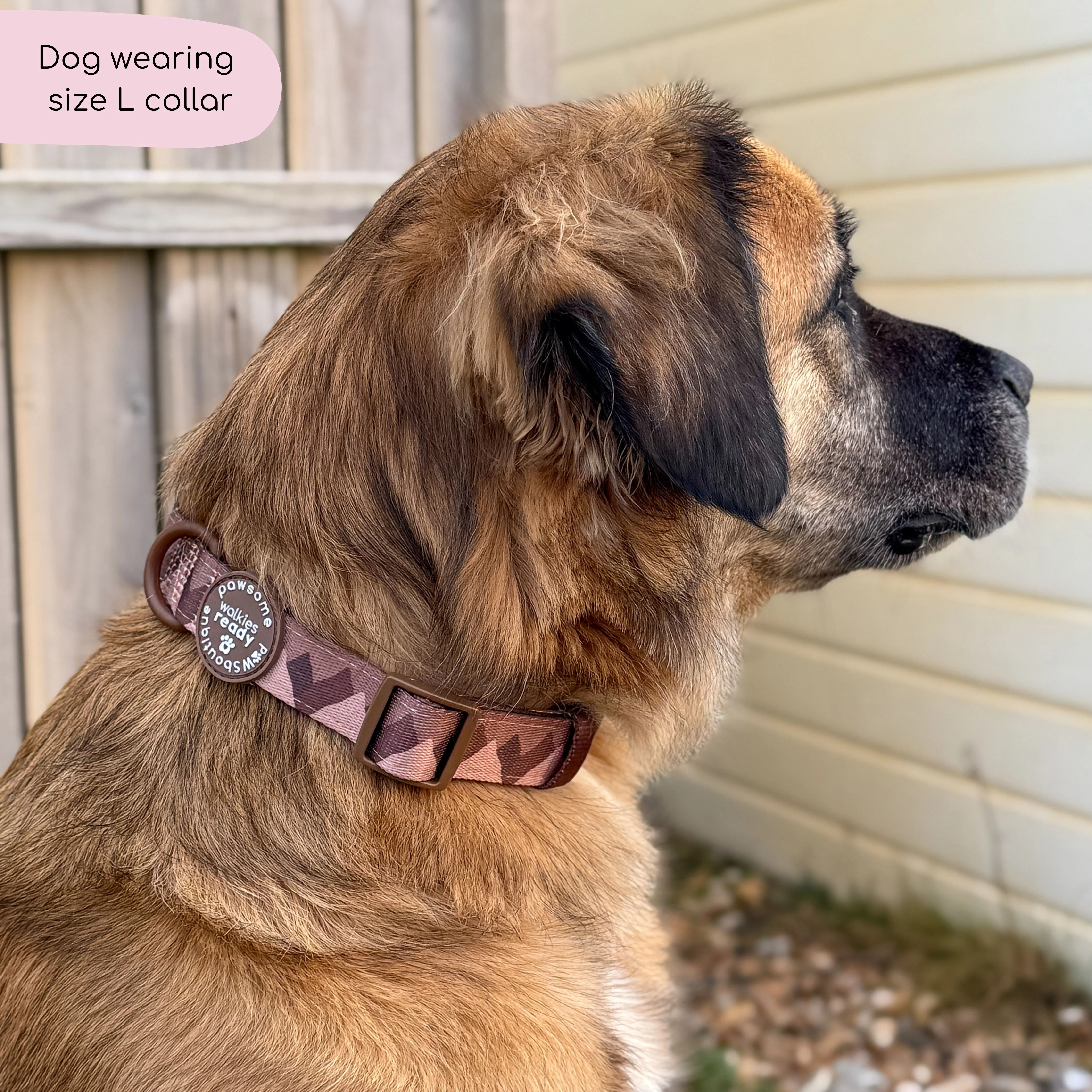 Collar – Walkies Ready® Chocolate Brown - Image 12