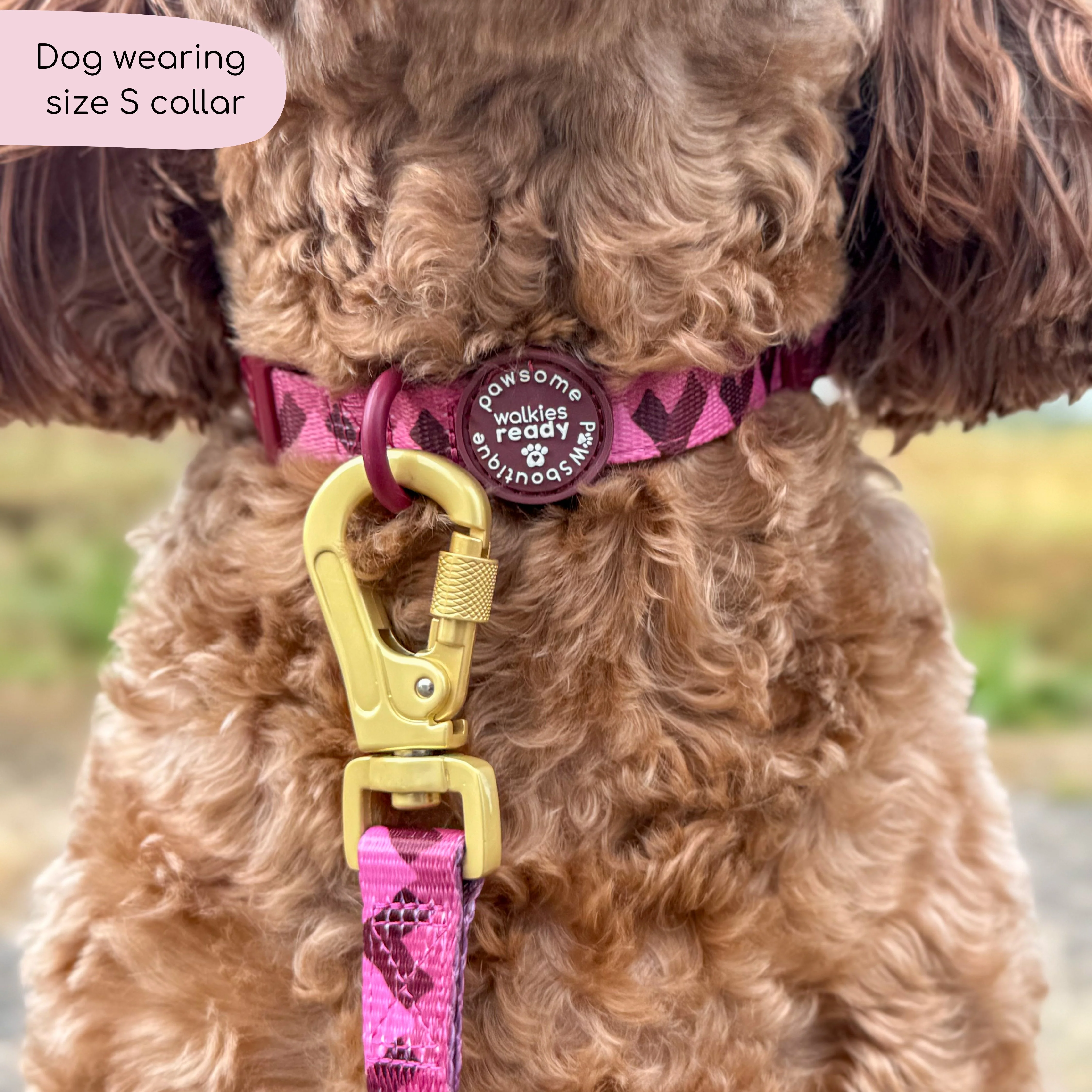 Collar - Walkies Ready® Mulberry - Image 12