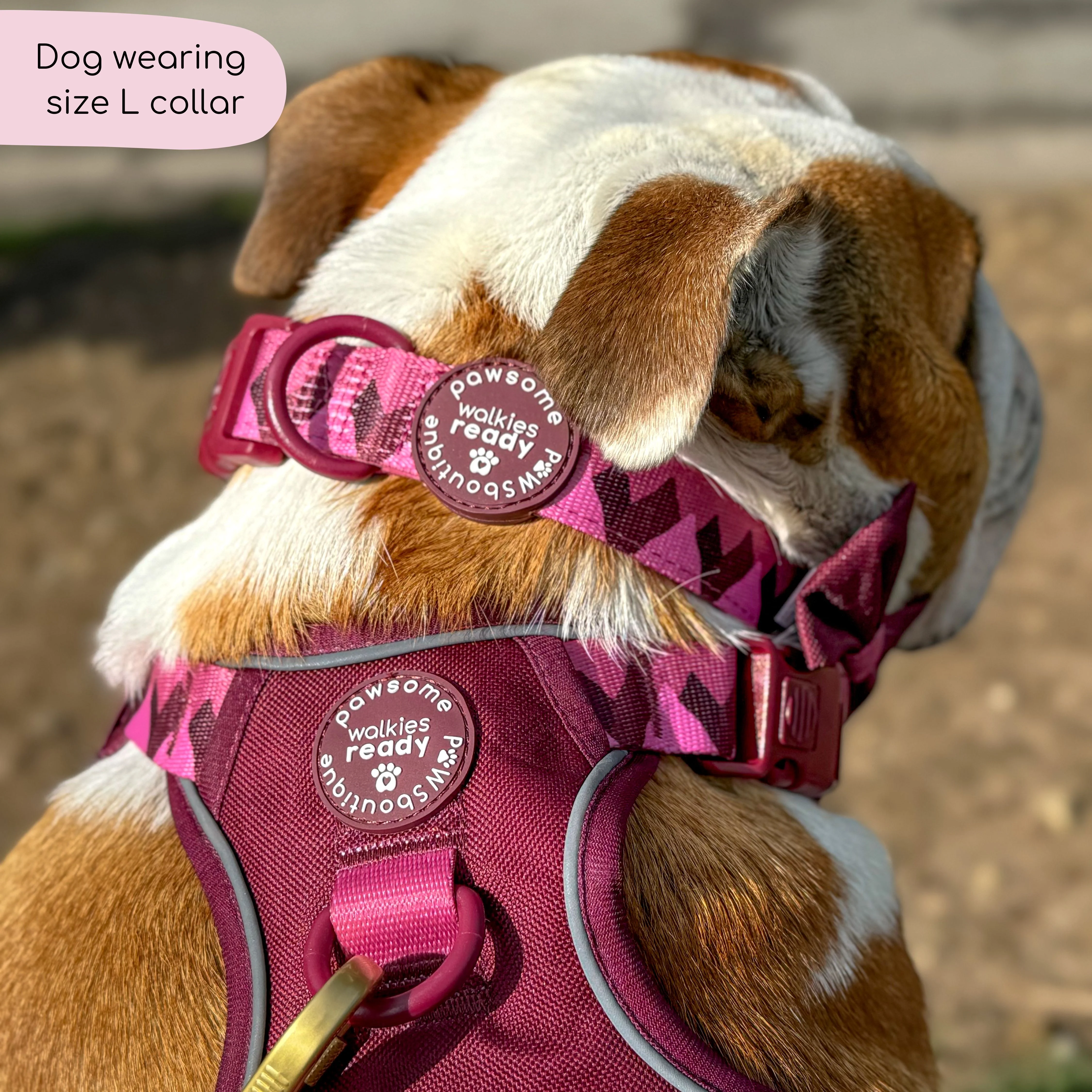Collar - Walkies Ready® Mulberry - Image 3