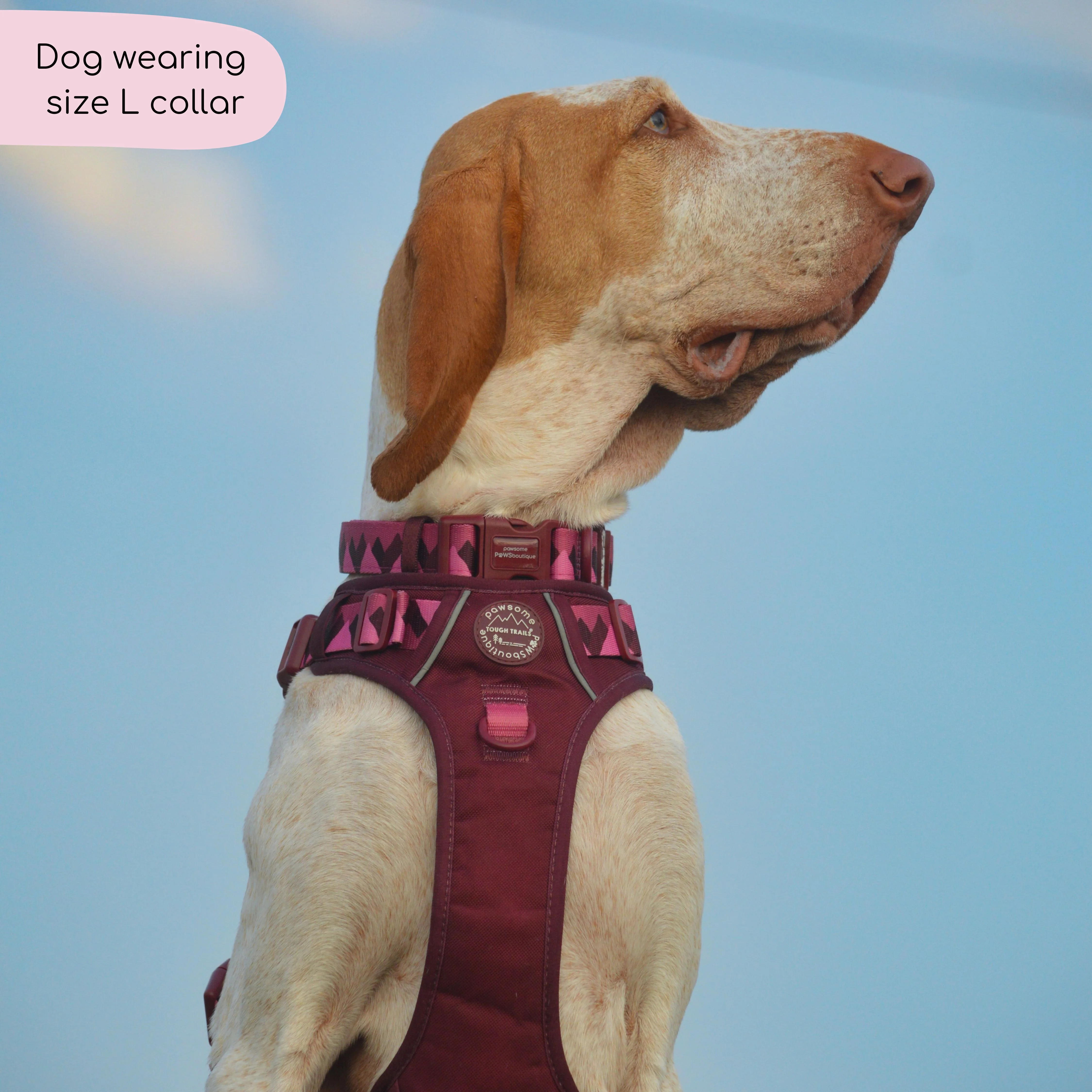 Collar - Walkies Ready® Mulberry - Image 6