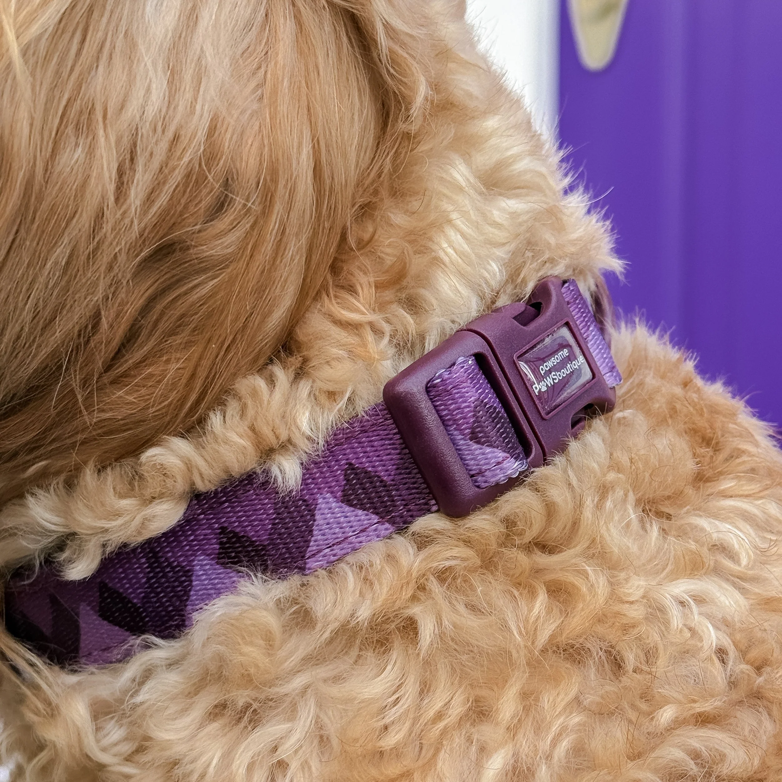 Collar – Walkies Ready® Plum - Image 11
