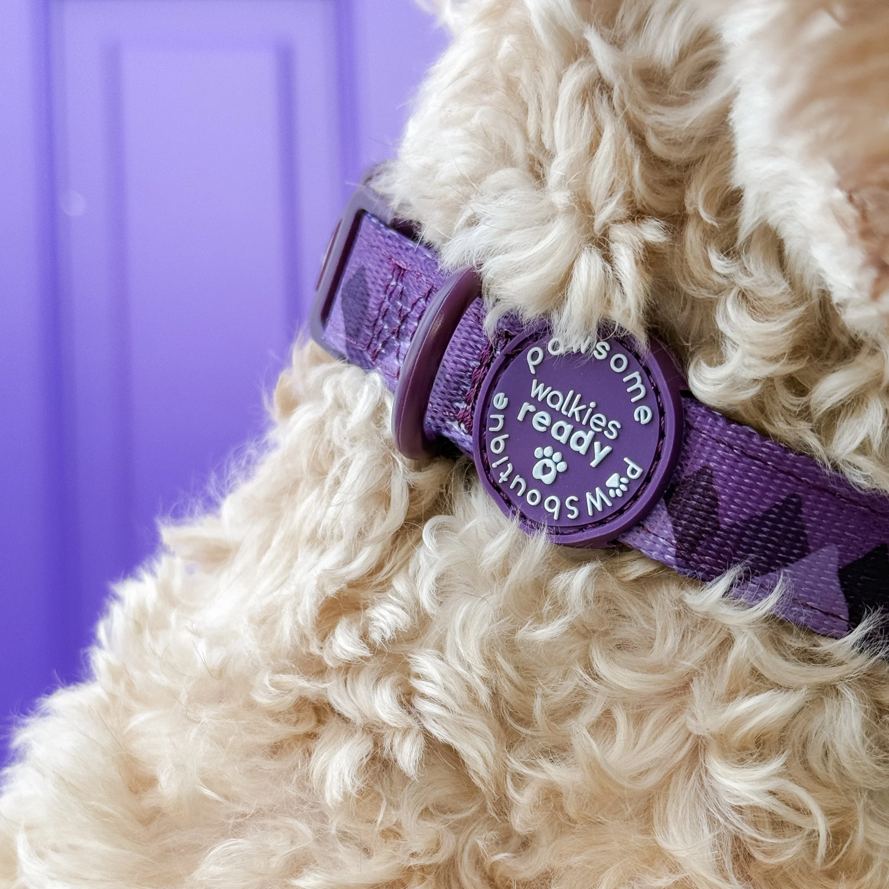 Collar – Walkies Ready® Plum - Image 6