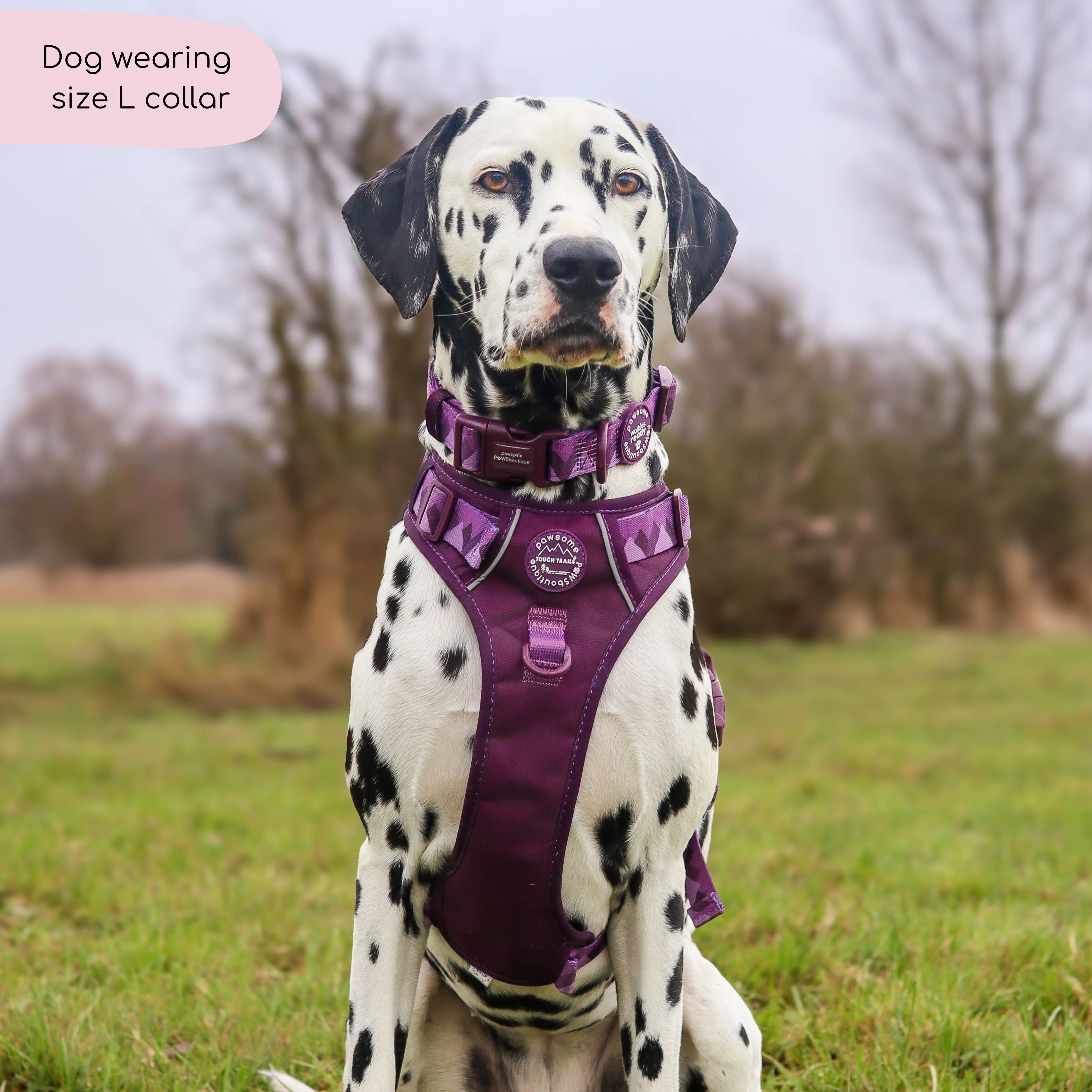 Collar – Walkies Ready® Plum - Image 8