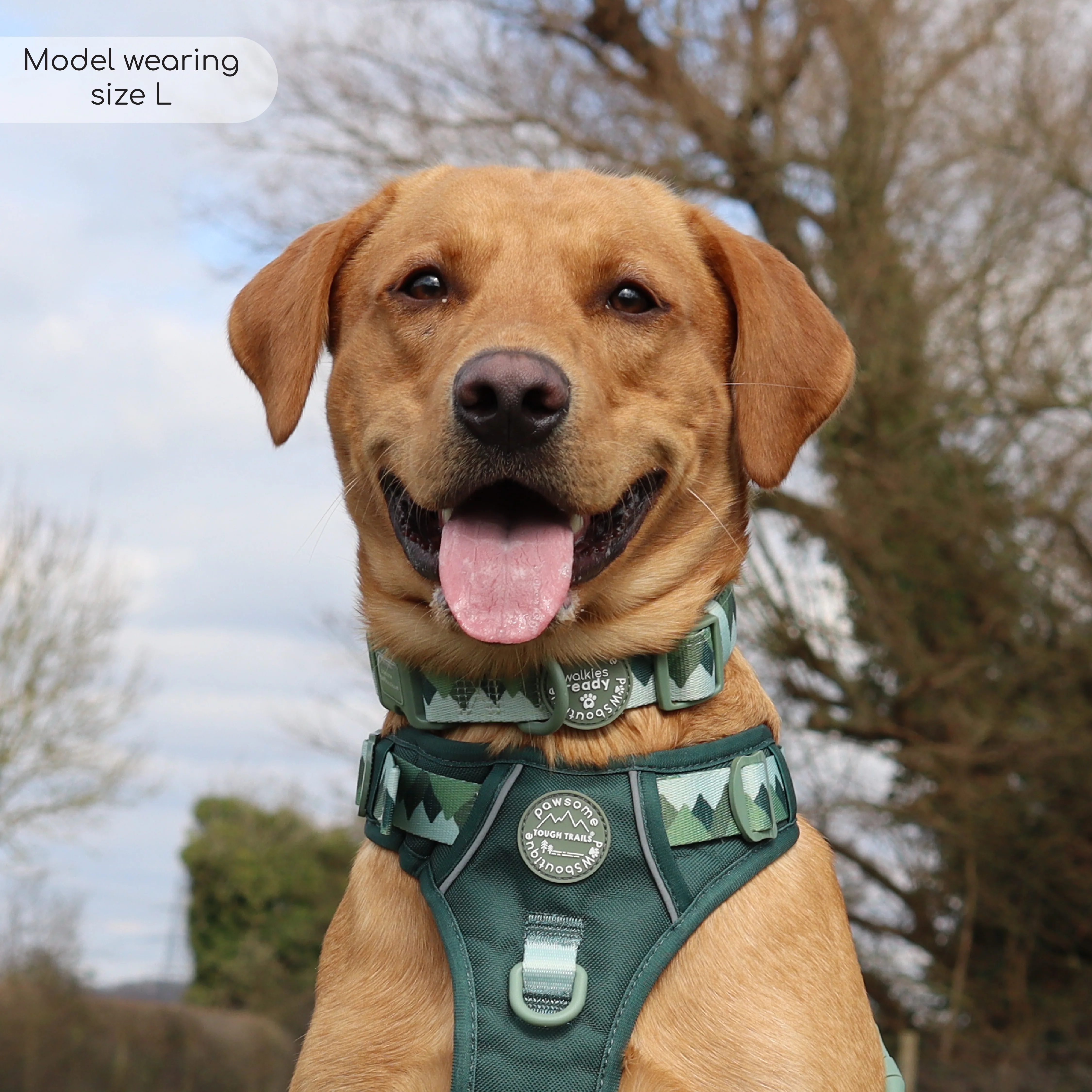 Collar - Walkies Ready® Forest Green - Image 5