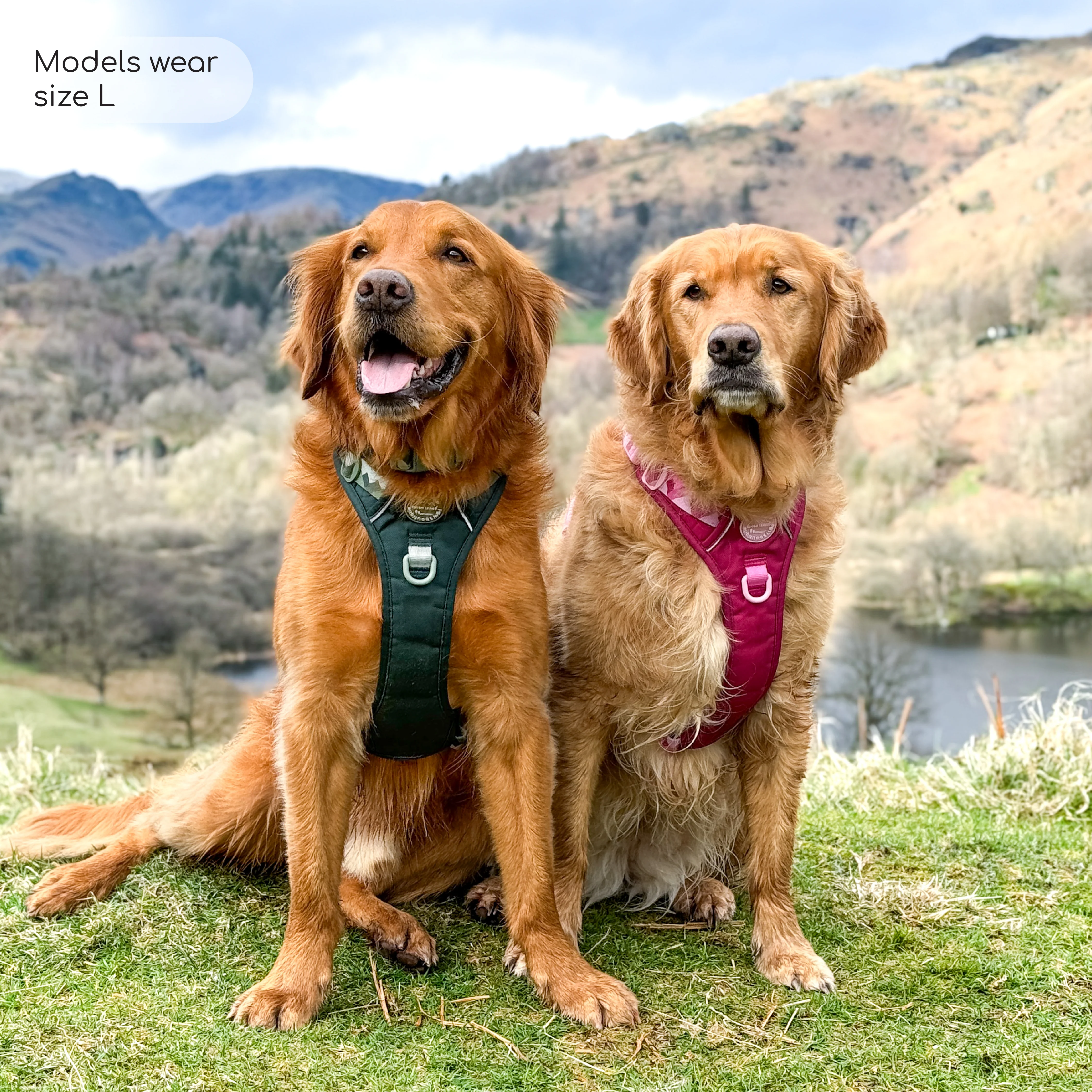 Tough Trails™ Harness - Walkies Ready® Forest Green - Image 14