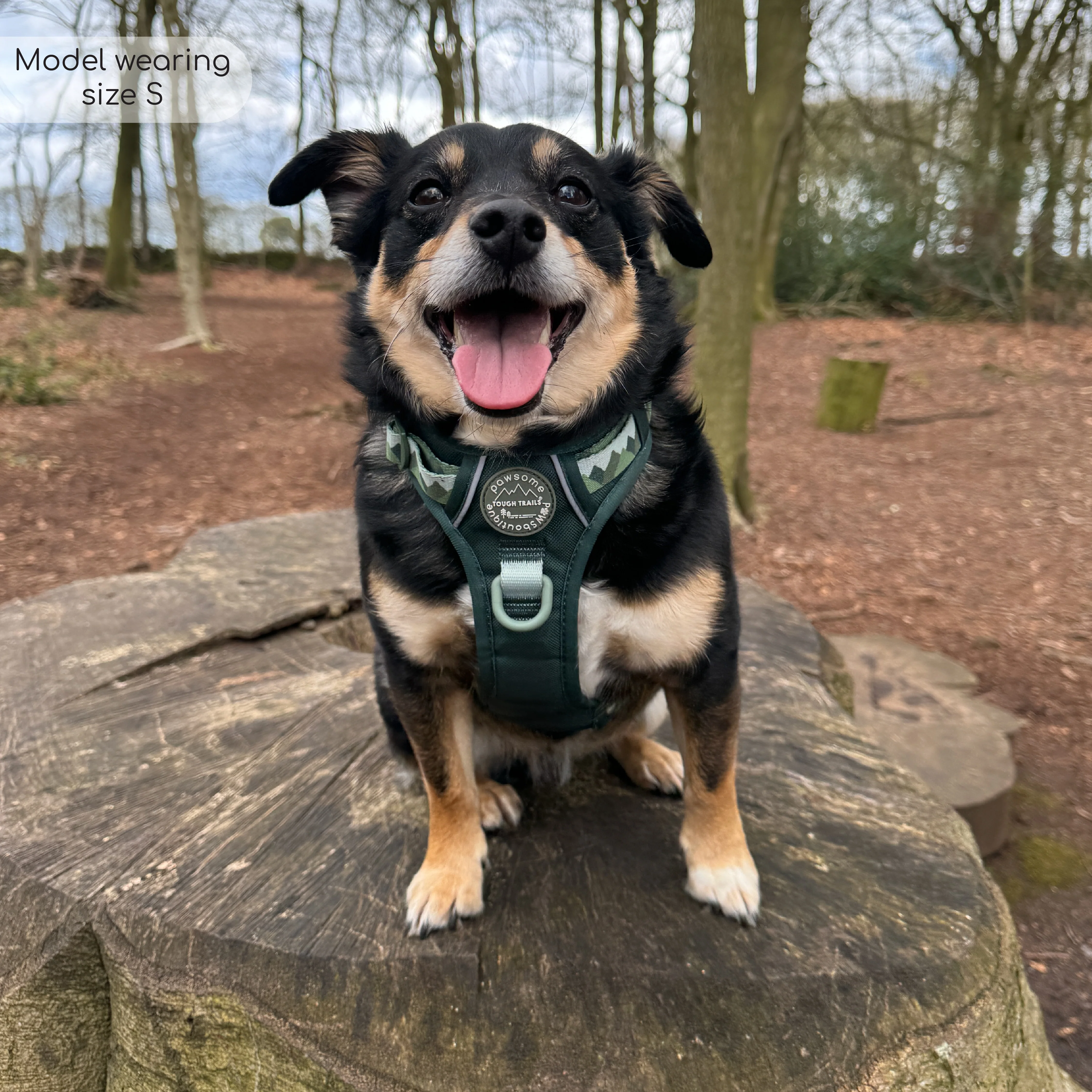 Tough Trails™ Harness - Walkies Ready® Forest Green - Image 33