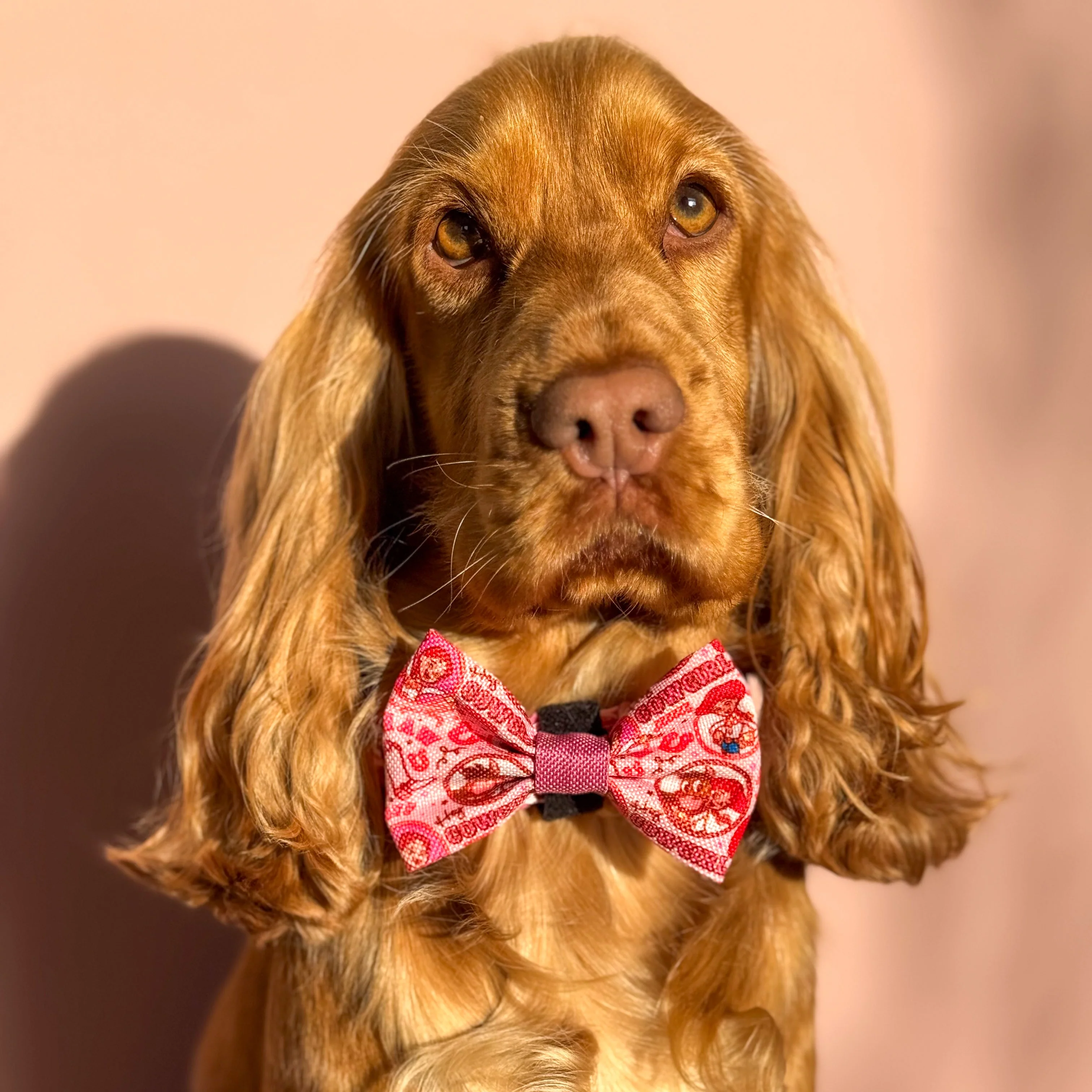 Disney© Bow Tie - Jessie - Image 5