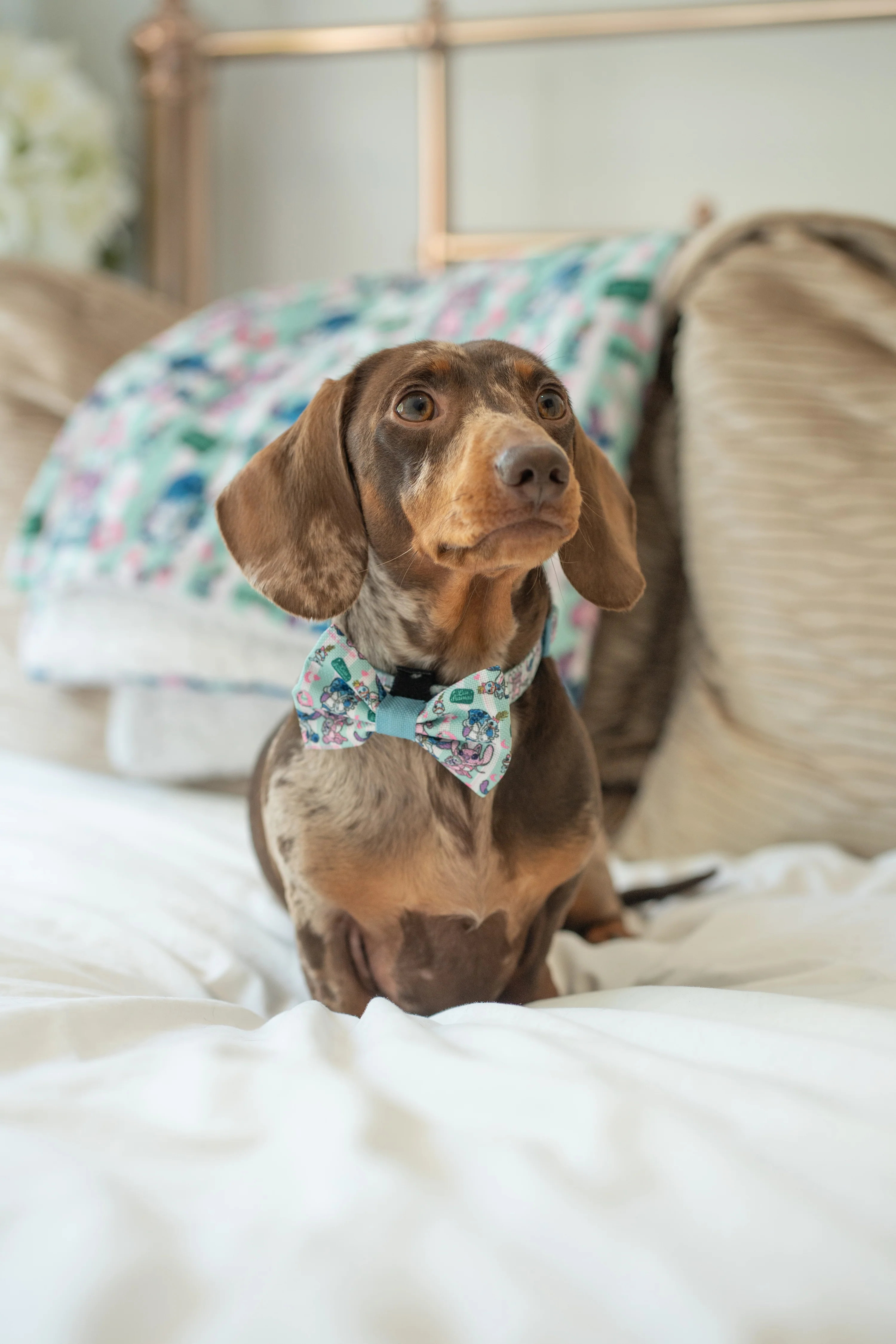 Disney© Bow Tie - Stitch's Slumber Party - Image 4