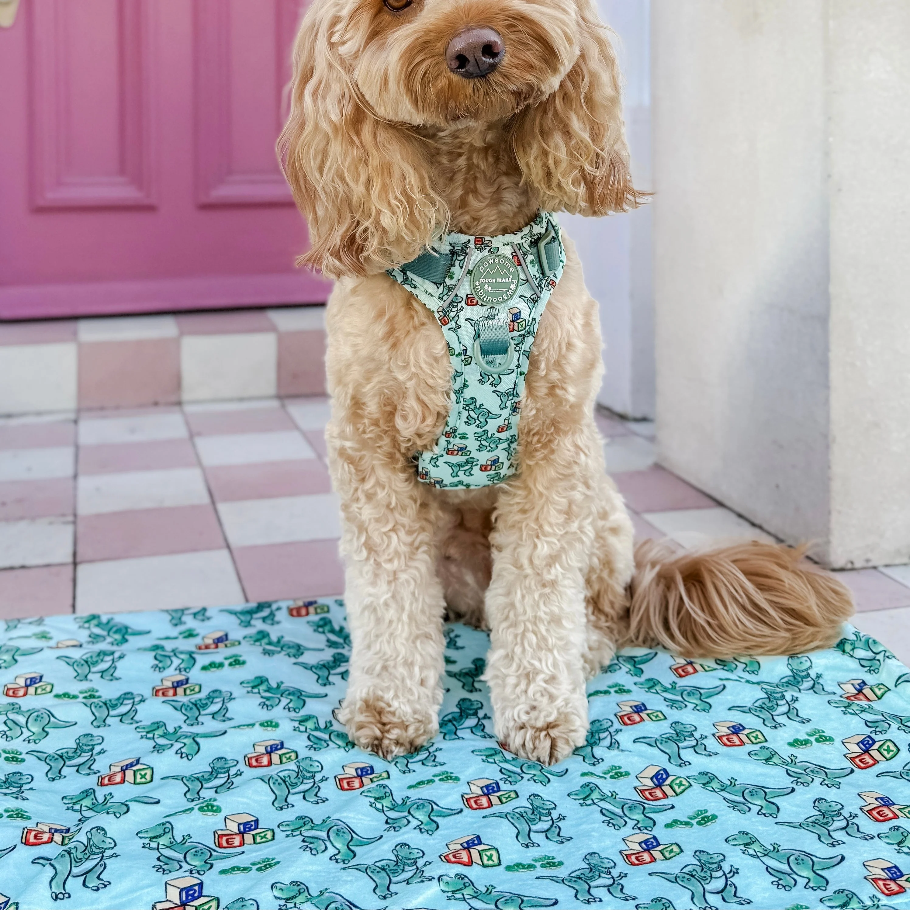 Disney© Dog Blanket - Rex - Image 11