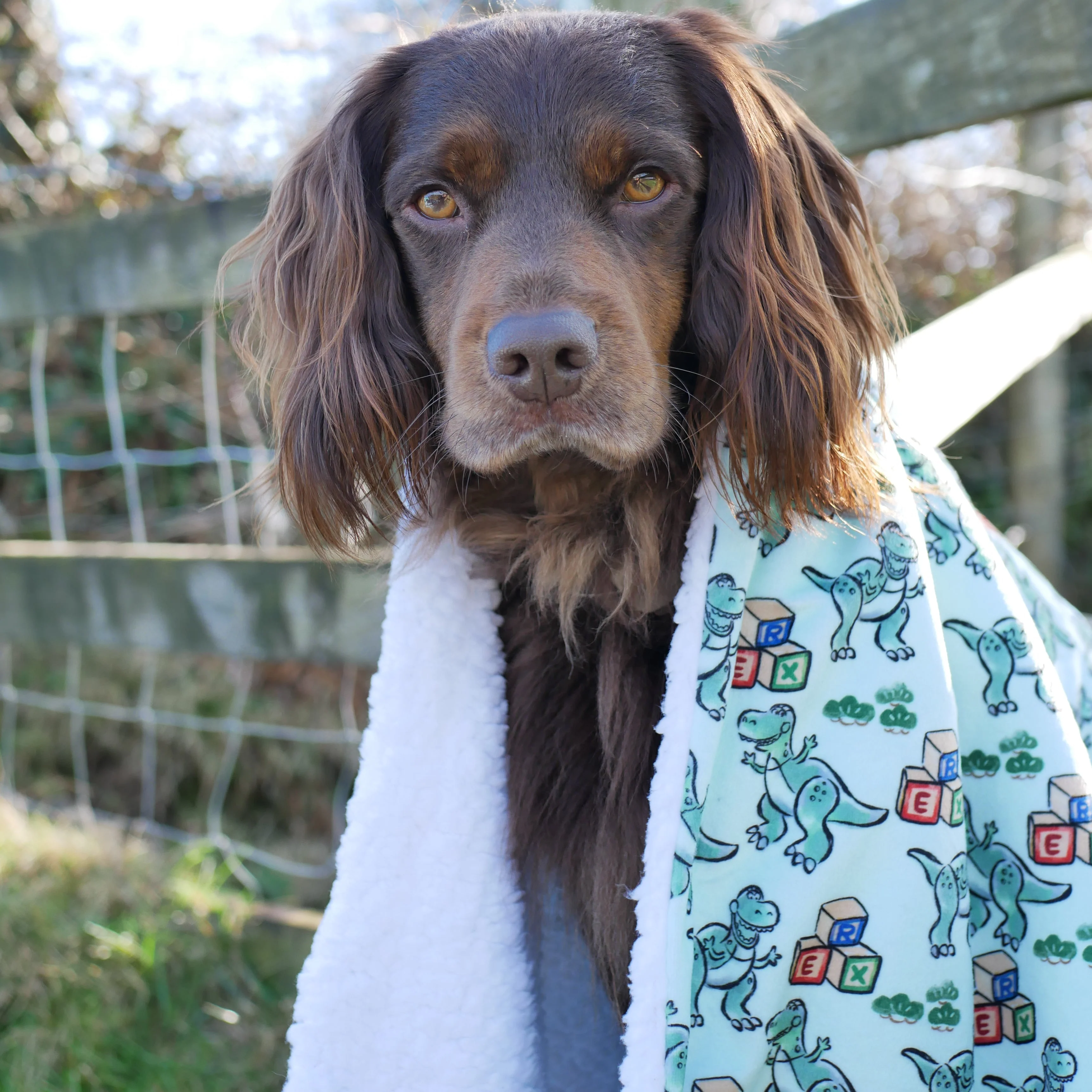 Disney© Dog Blanket - Rex - Image 12