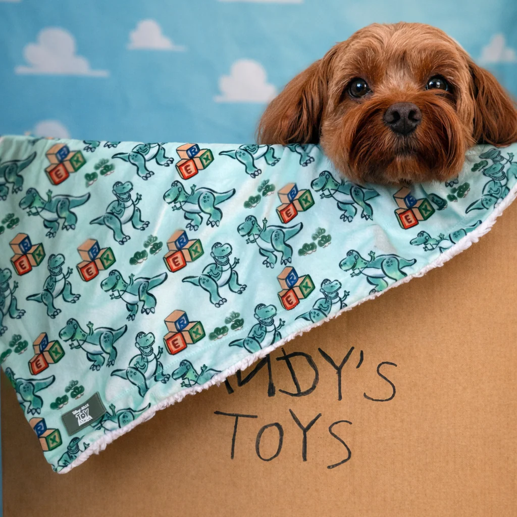 Disney© Dog Blanket - Rex - Image 4